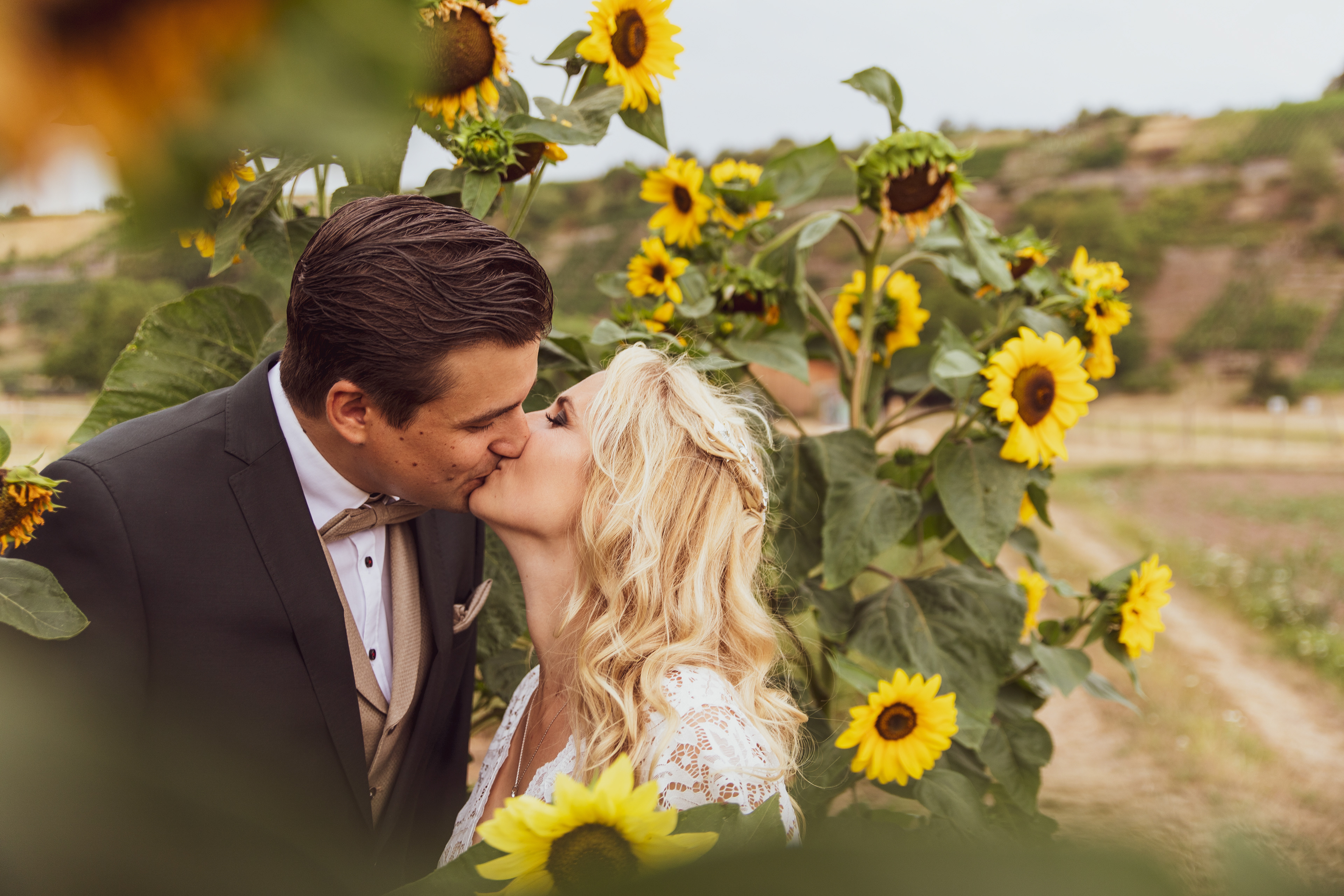 Mein Lieblings-Sonnenblumen-Bild
