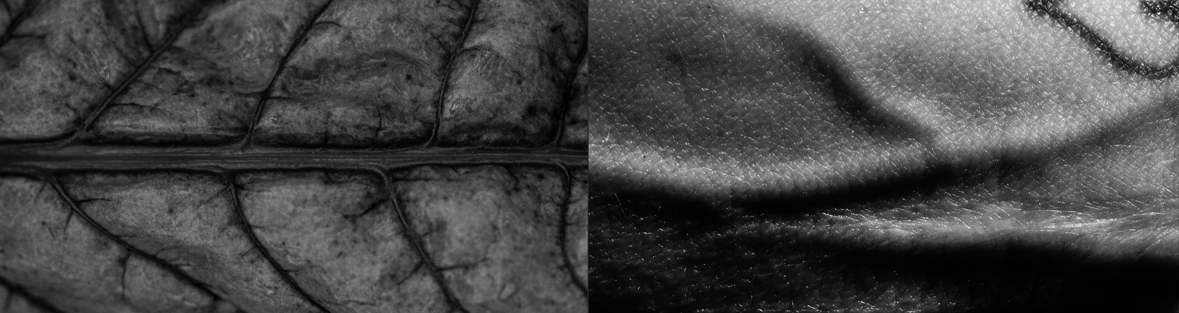 "One of the Same #2" - Model: Emma  Mavis, 2022