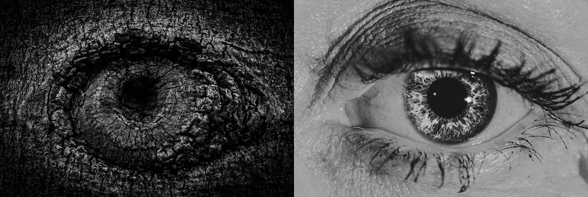 "One of the Same #1" - Model: Emma  Mavis, 2022