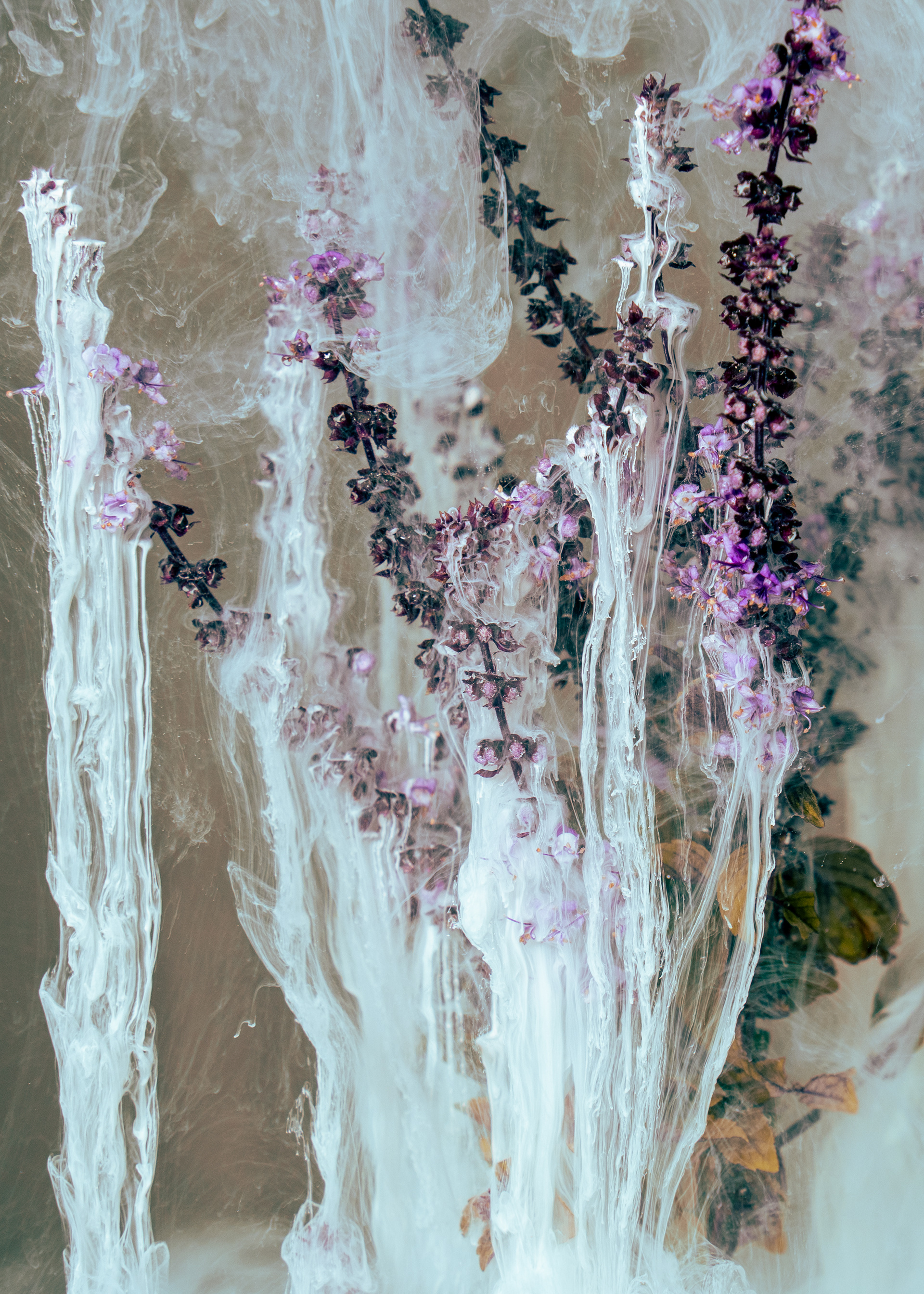 "Flower Power #1", 2023