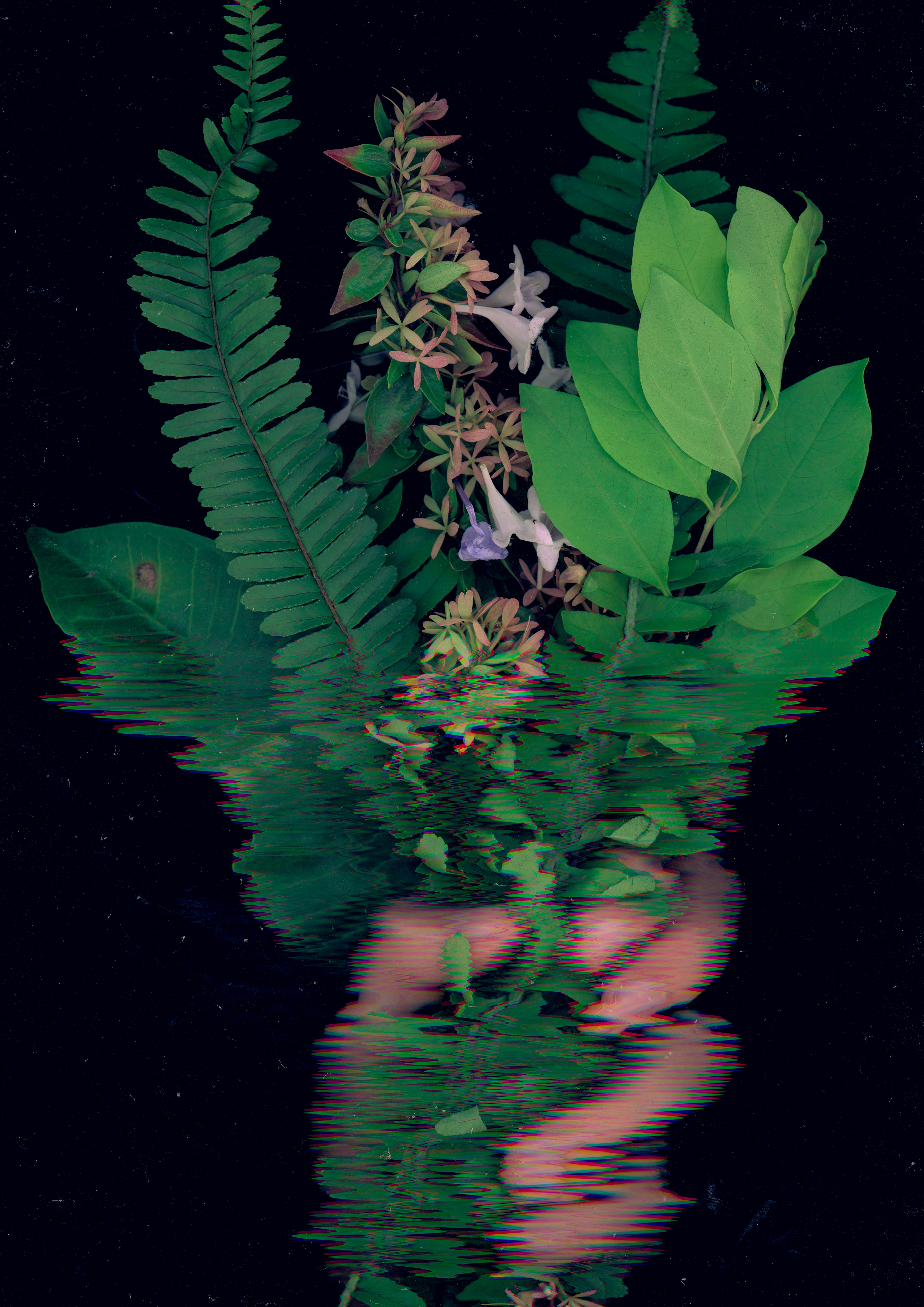 "Scanography #1", 2023
