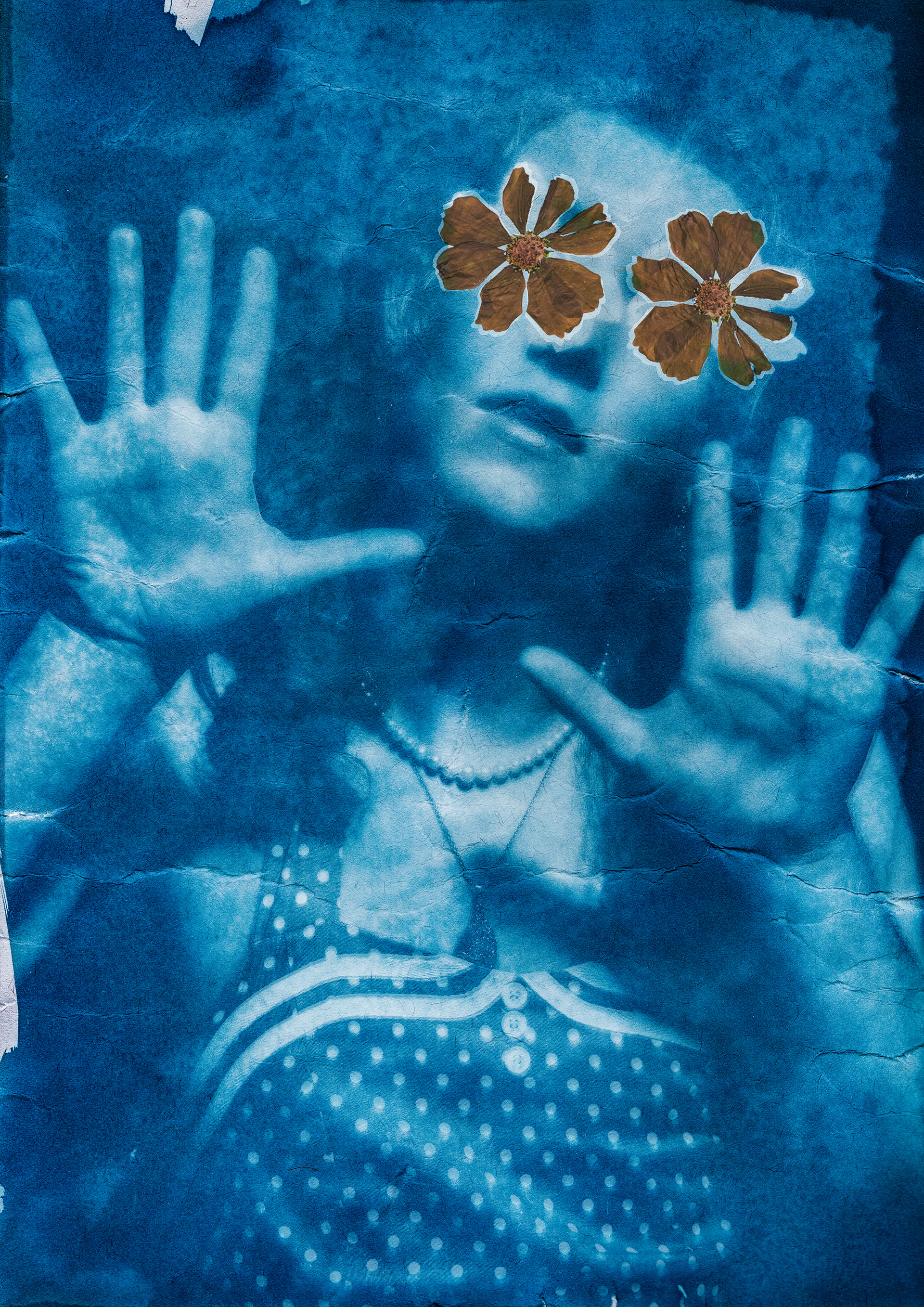 "Roots" - Cyanotype #3 - Model: Will McCauley, 2023