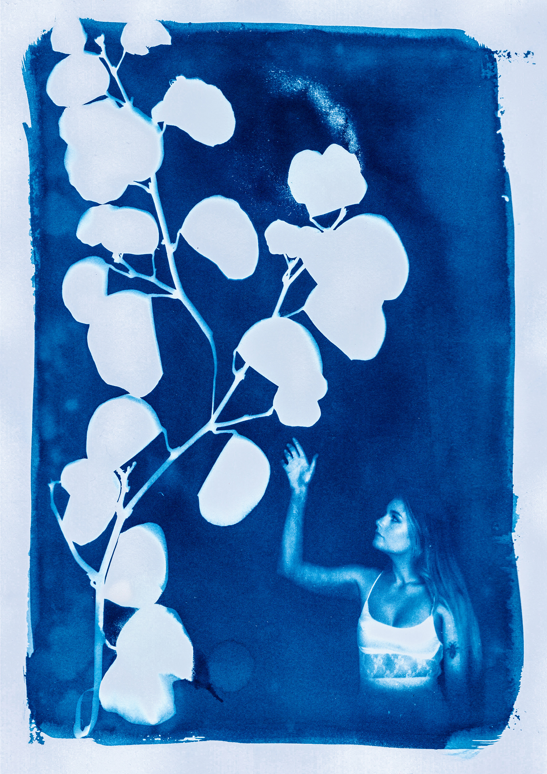 "Roots" - Cyanotype #3 - Model: Mel Watts, 2023