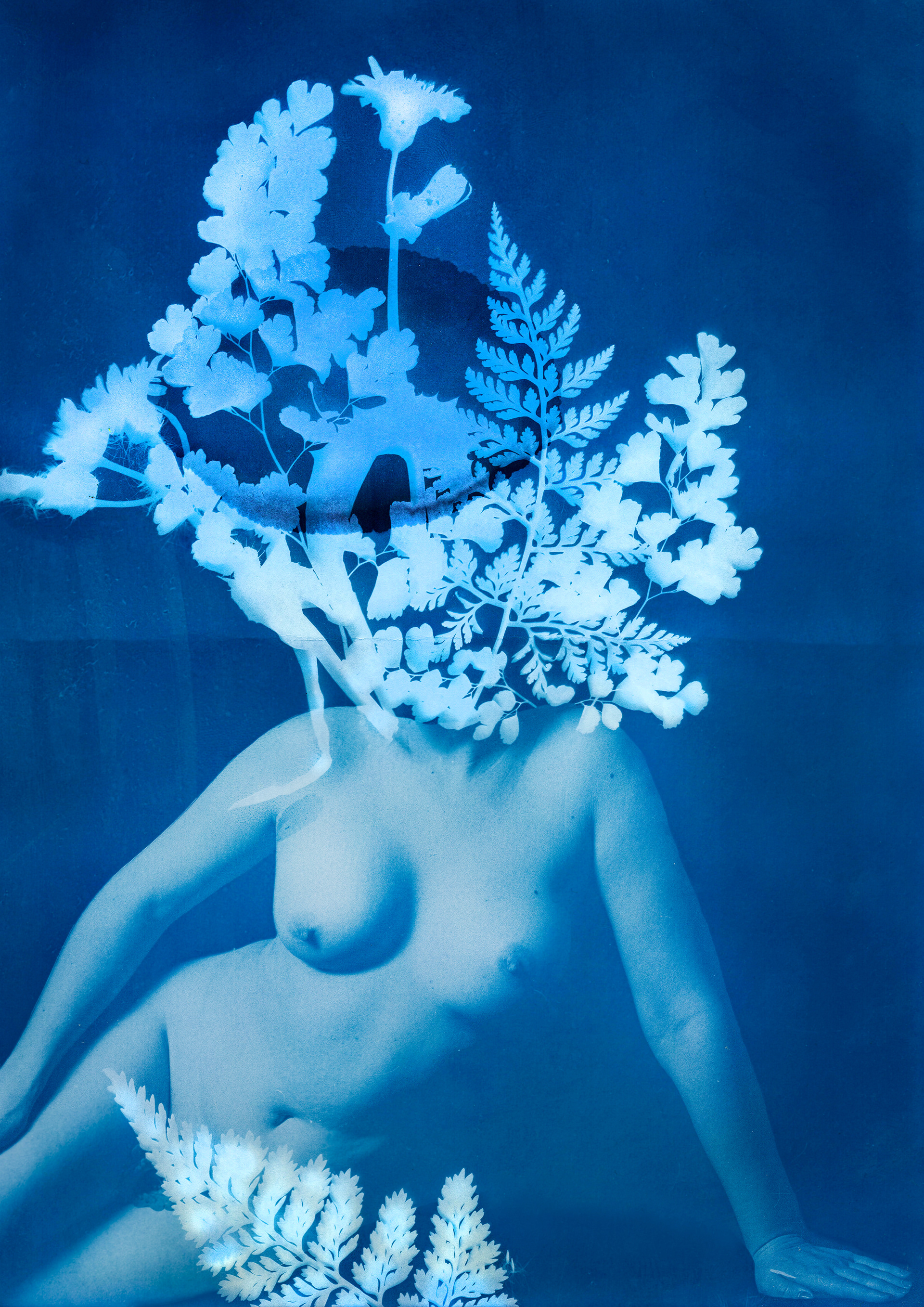 "Roots" - Cyanotype #1 - Model: Tori Addams, 2023
