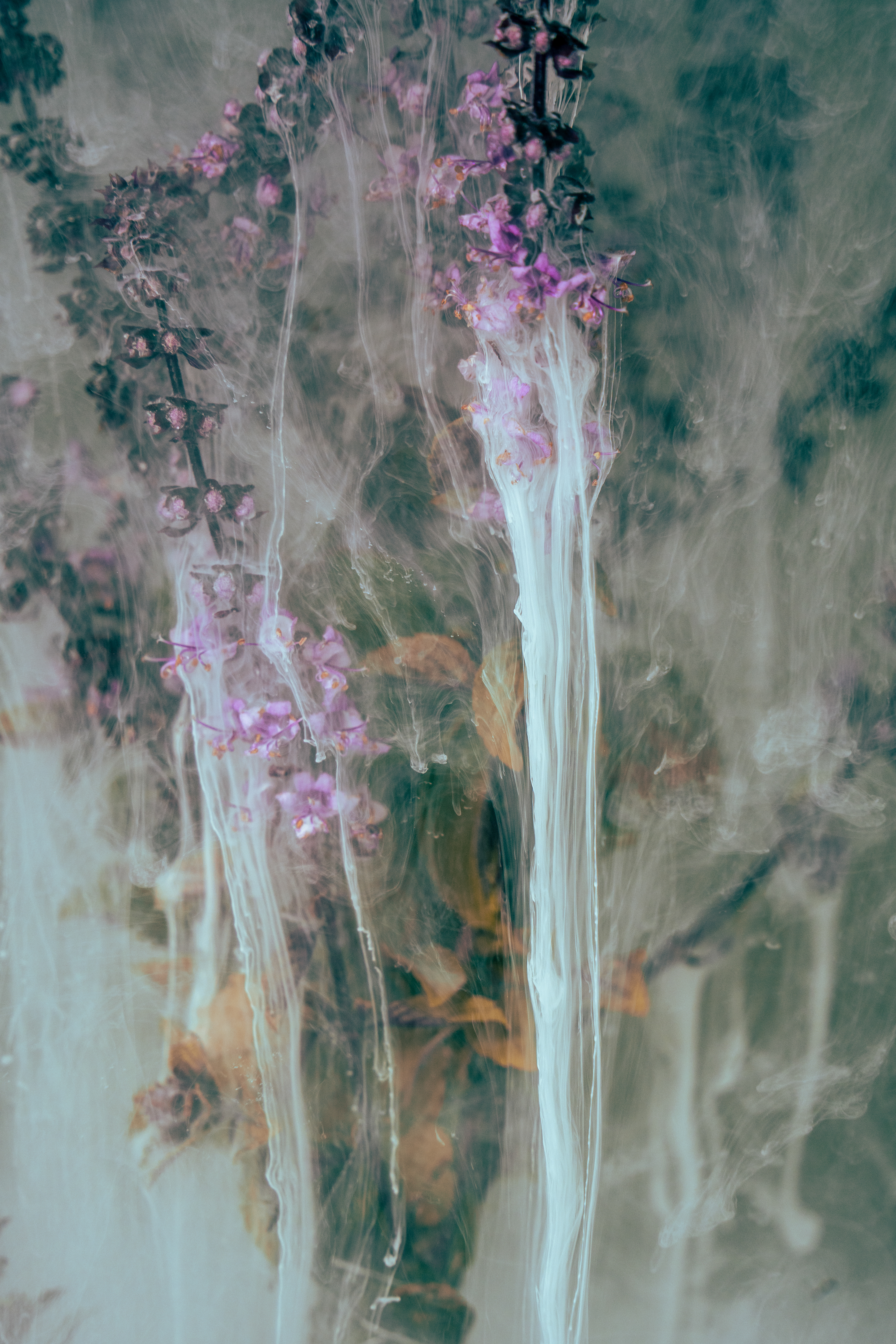 "Flower Power #2", 2023