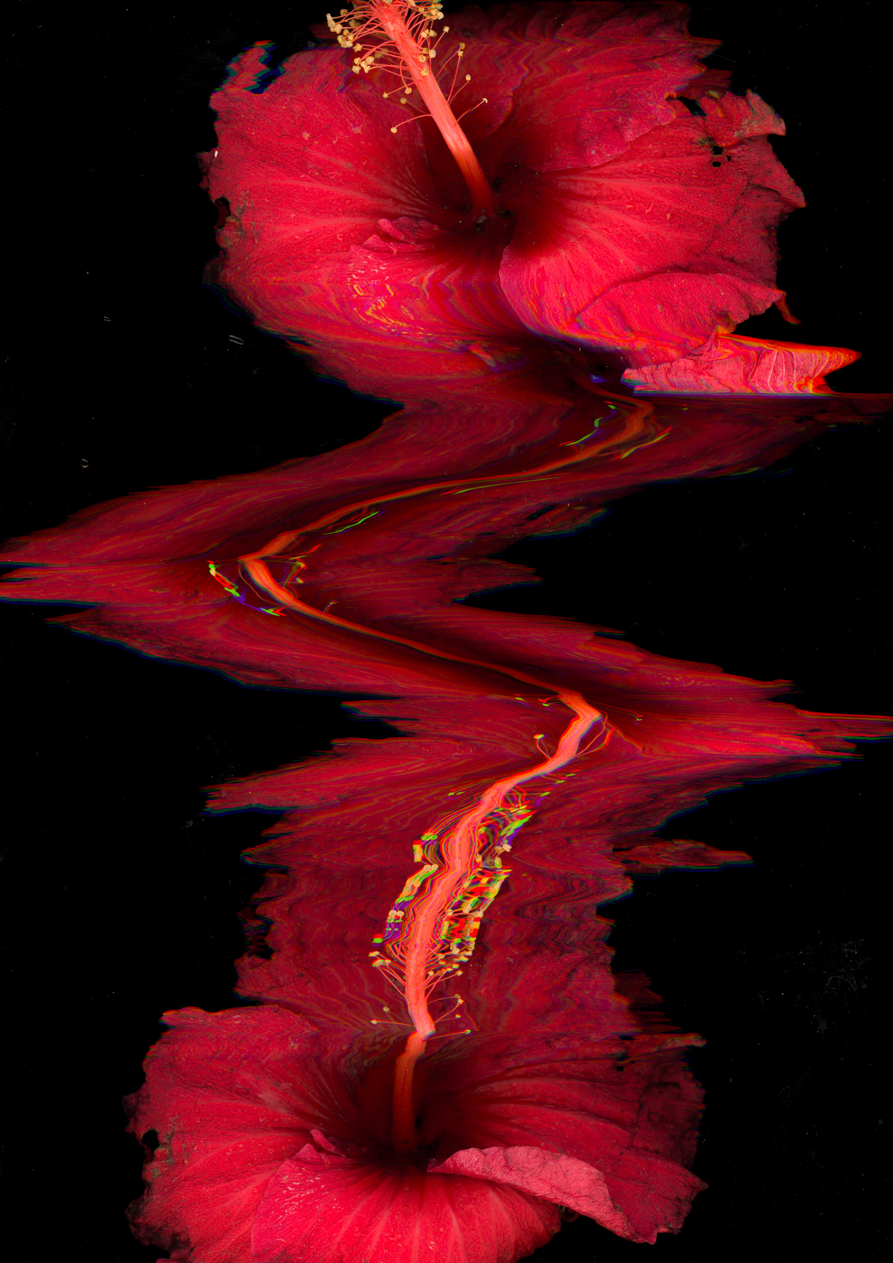 "Scanography #3", 2023