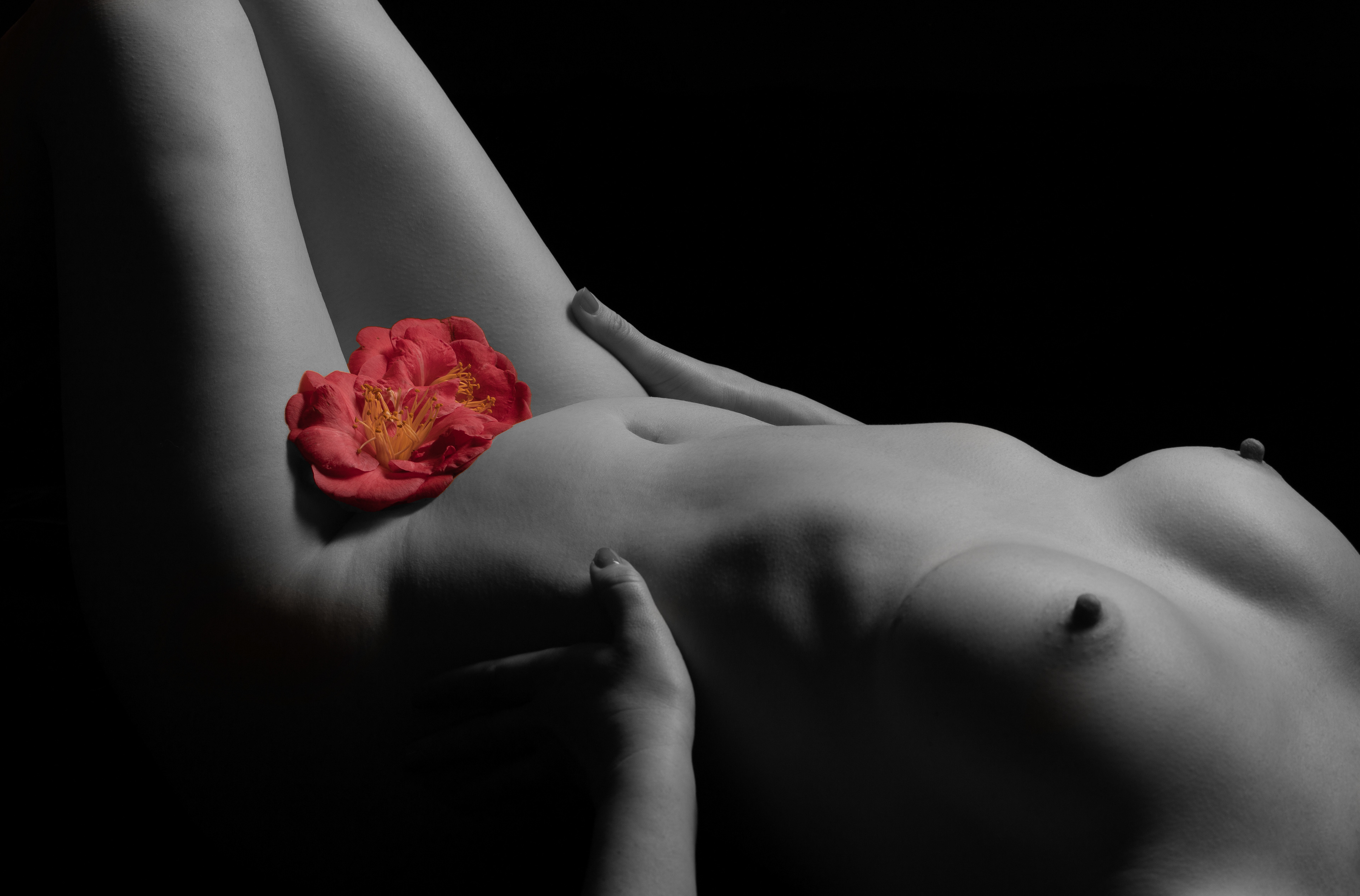 "Nude #2" - Model: Tori Addams, 2023