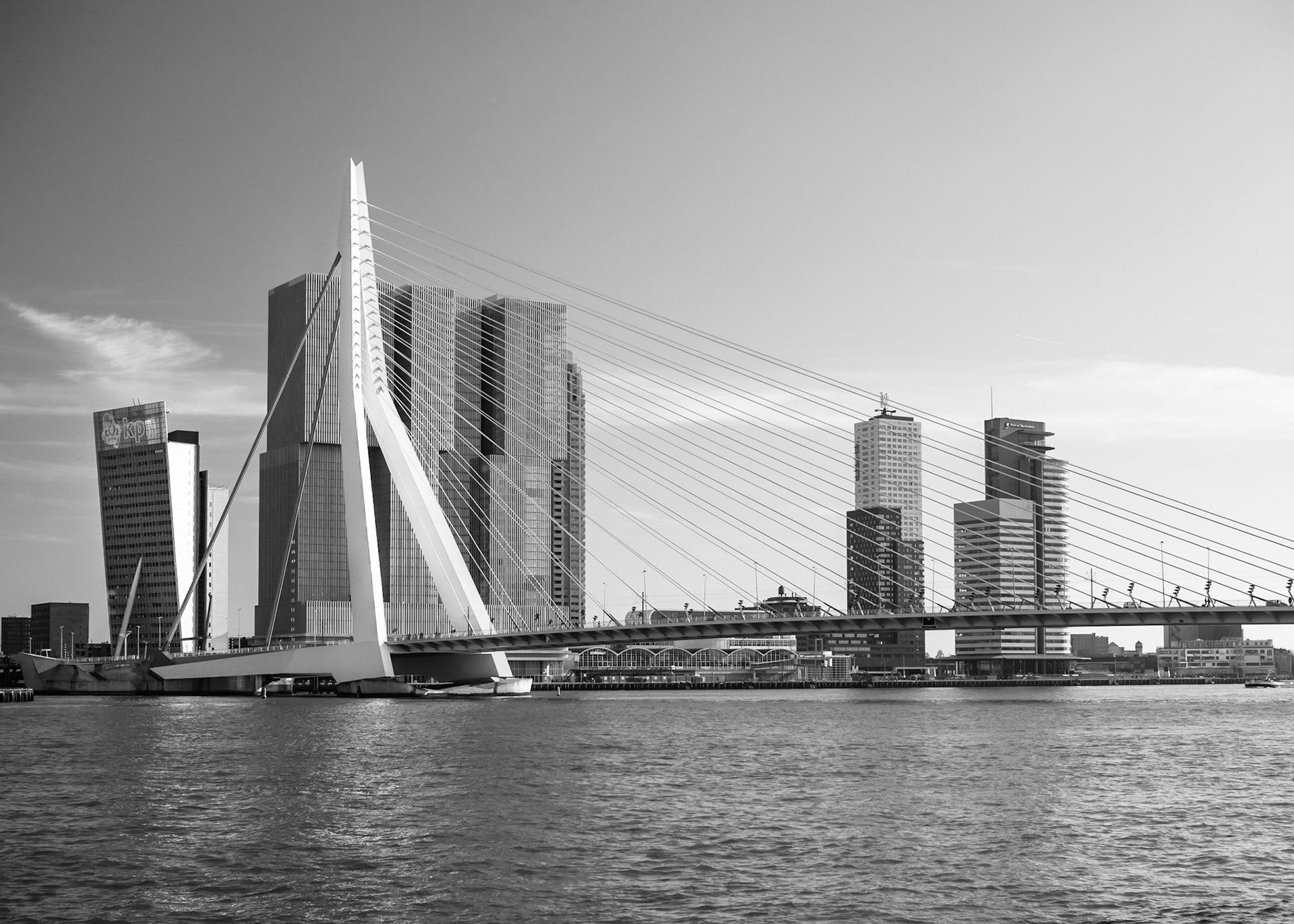Sunny Erasmusbrug (B/W)