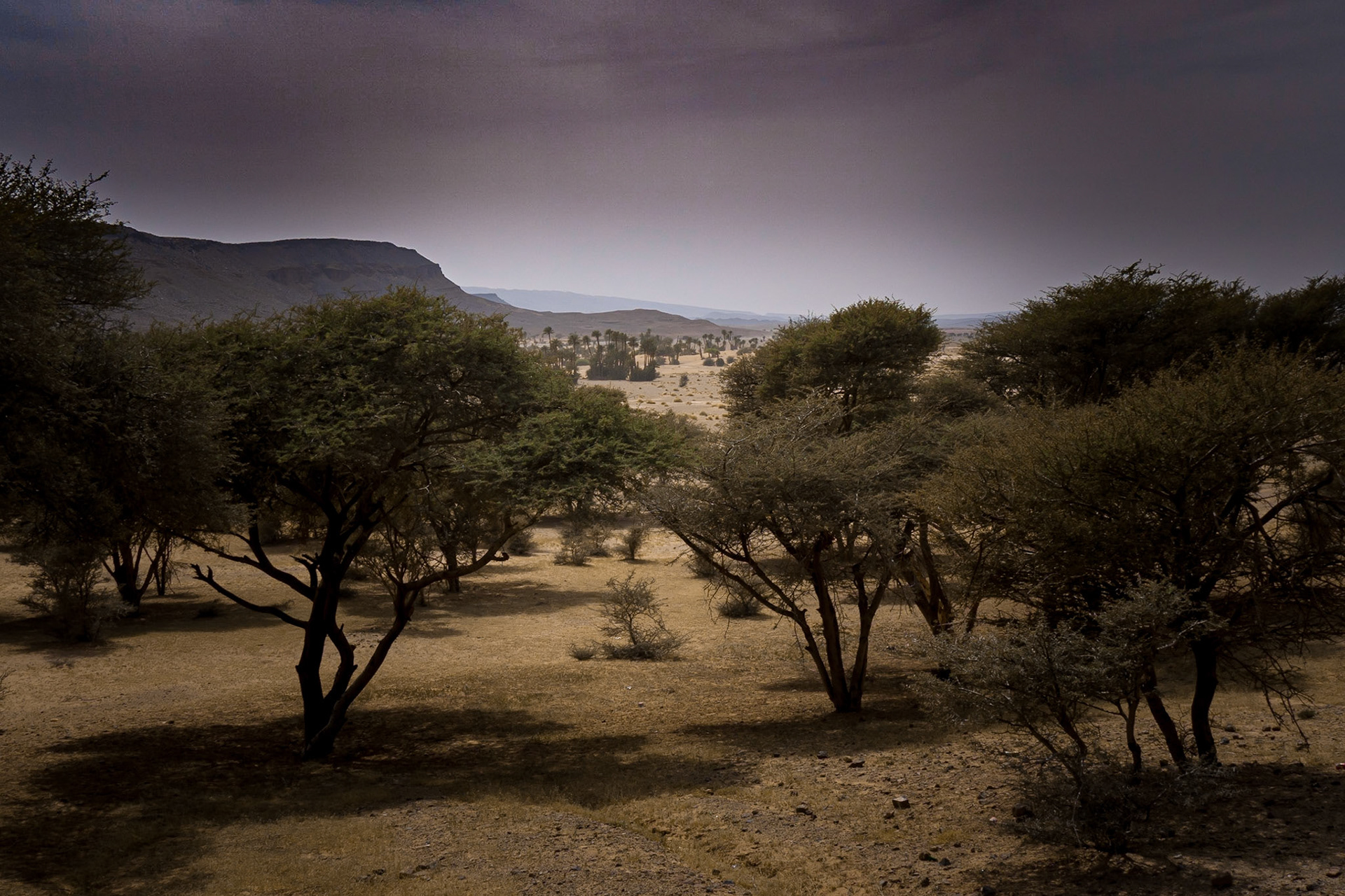 Morocco 2010