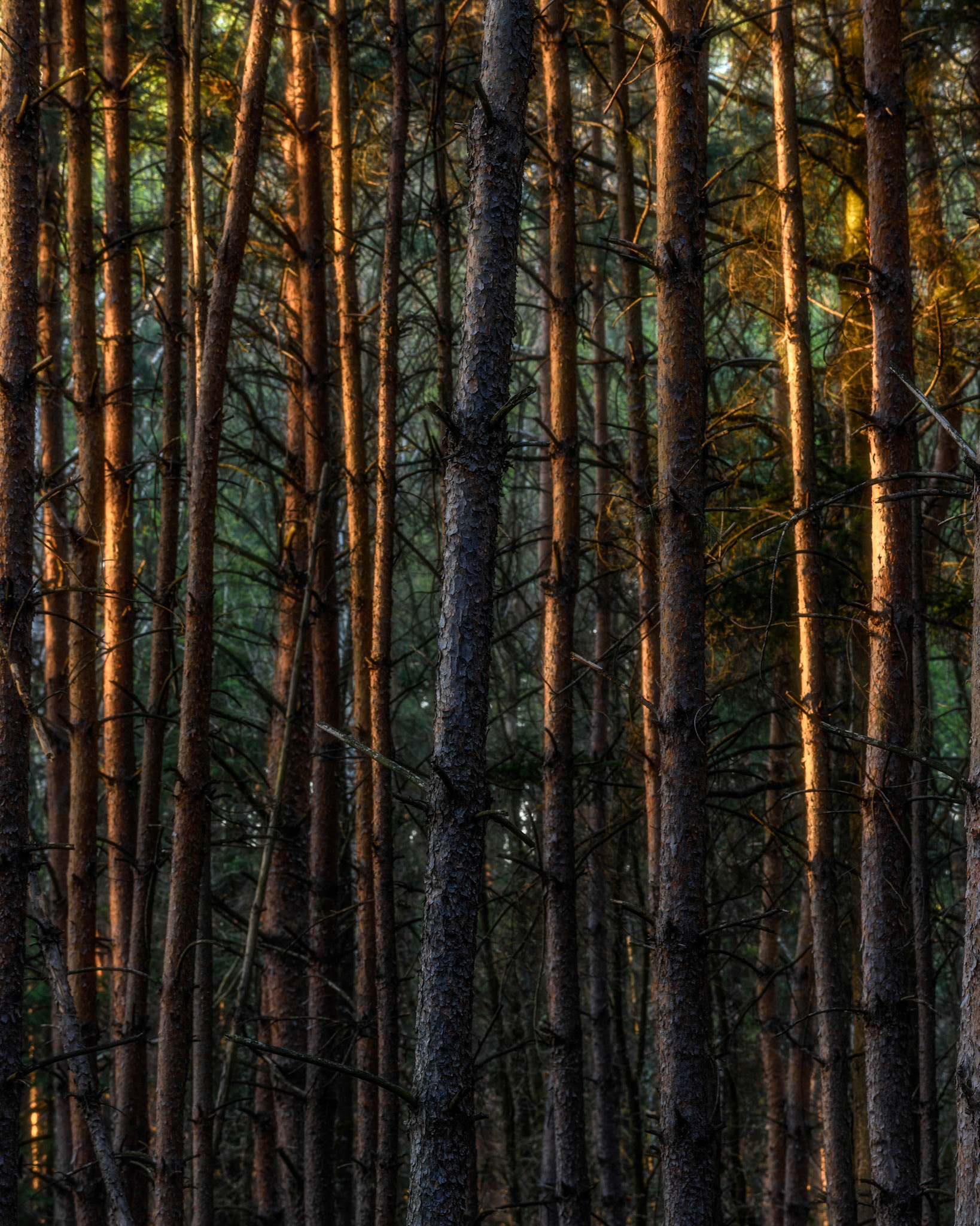 Light, light, light......