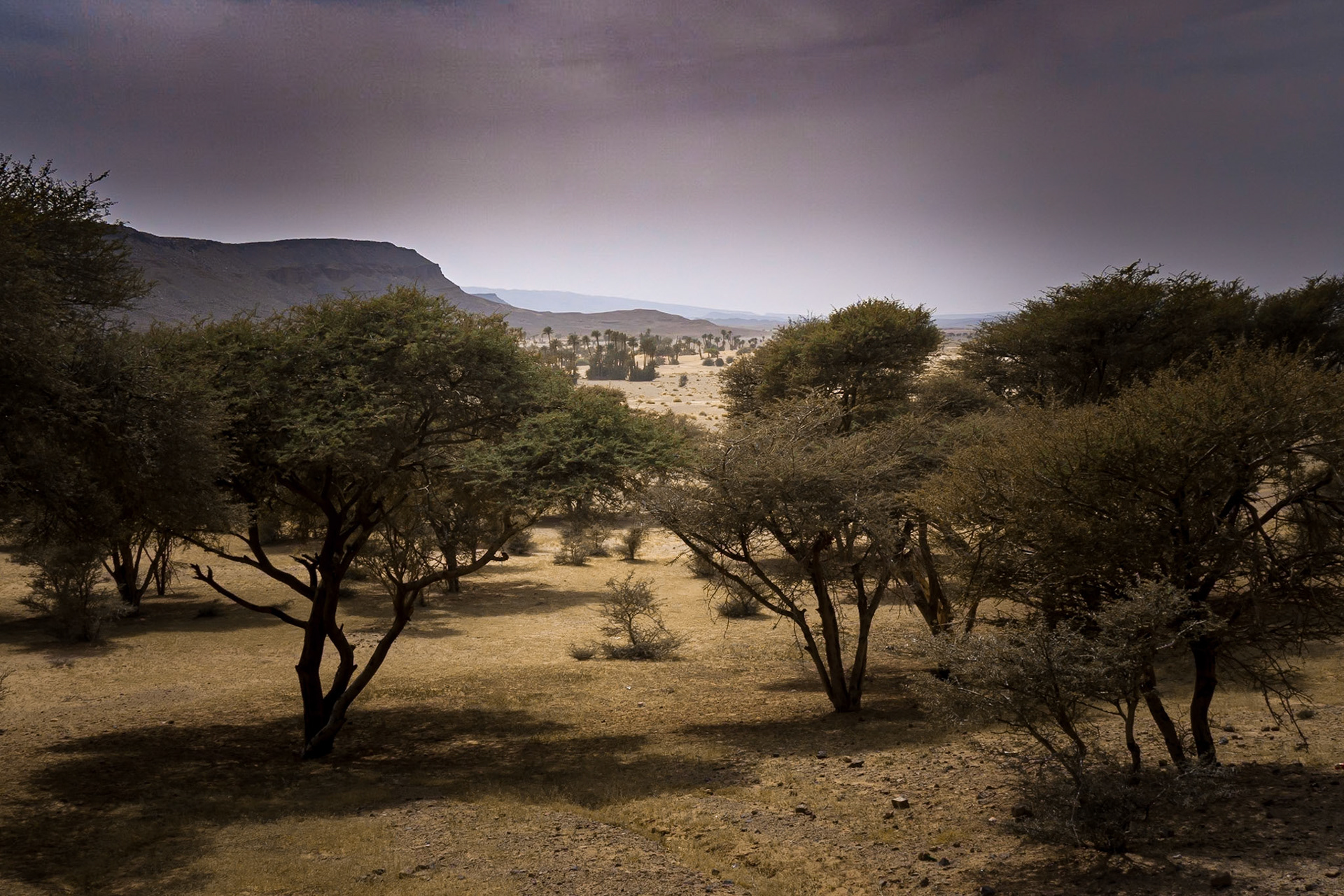 Morocco 2010