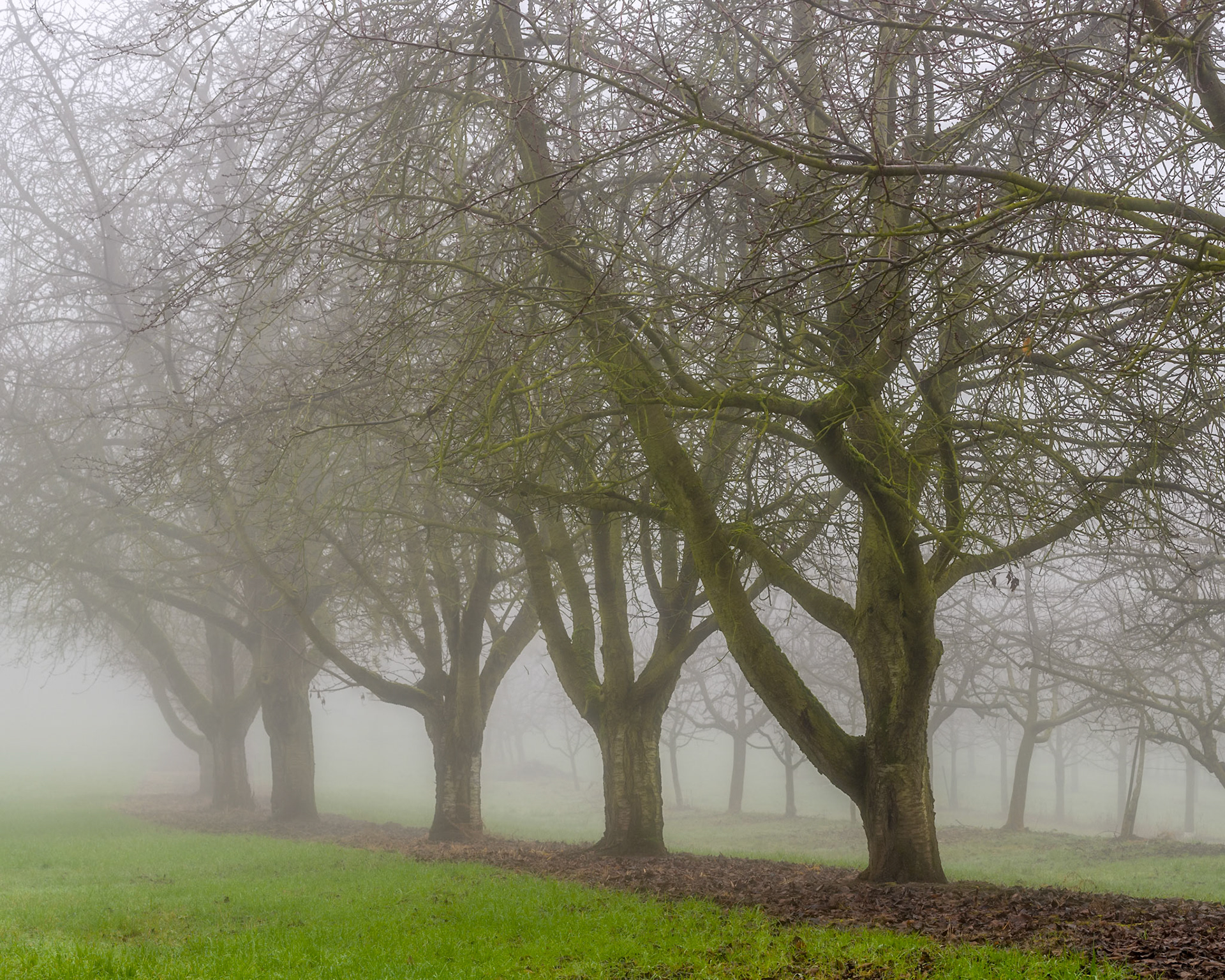 It can still be green, even in the middle of winter. Still does not mean that it's not cold!.
