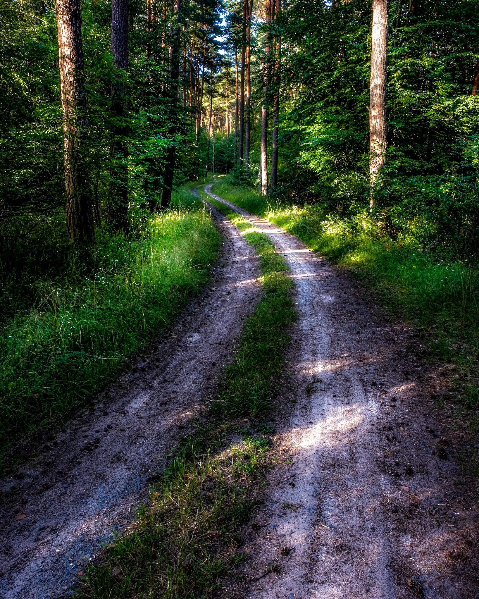 Just tracks through the forest. A quite nice walk.