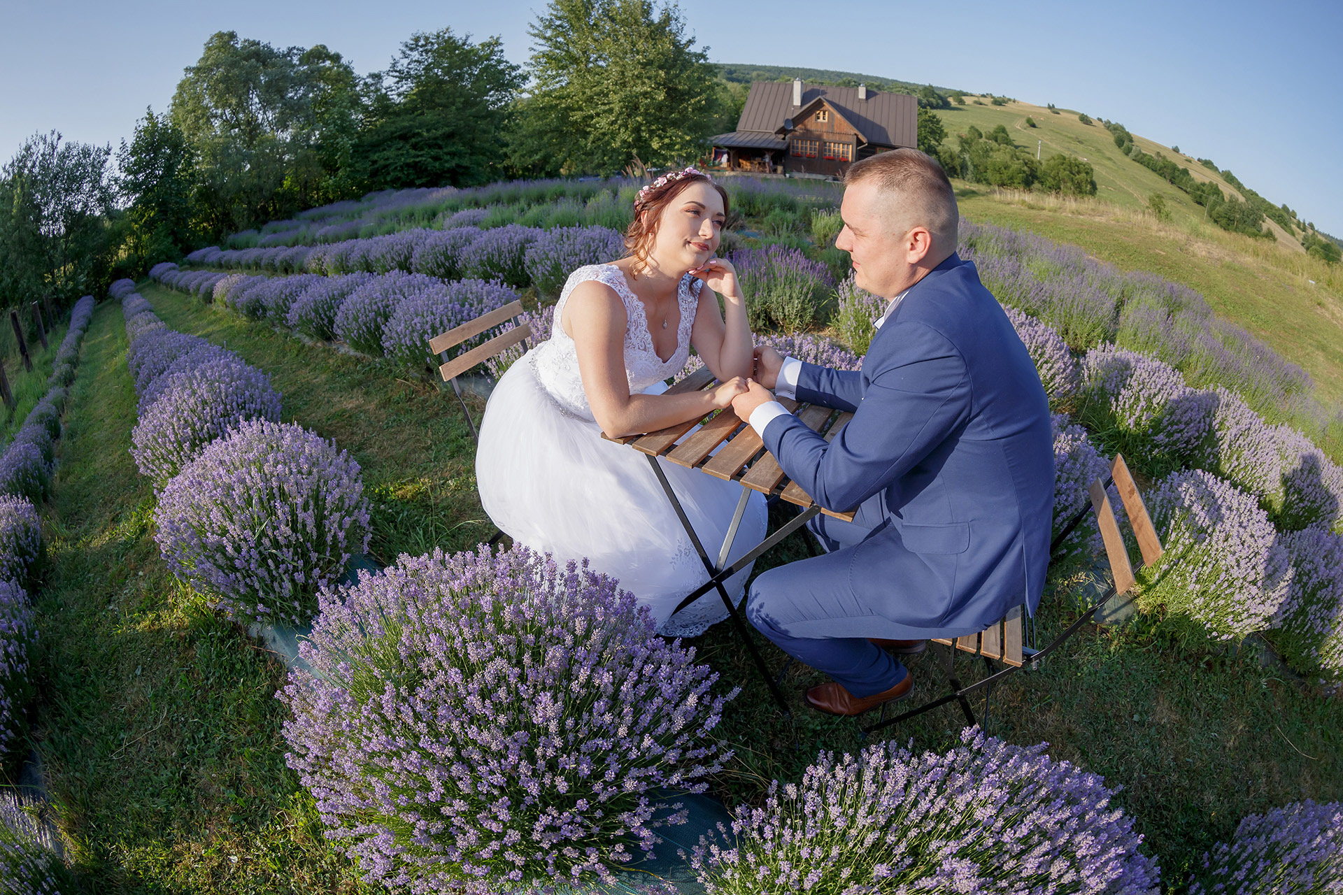 Izabela i Daniel - sesja w lawendzie