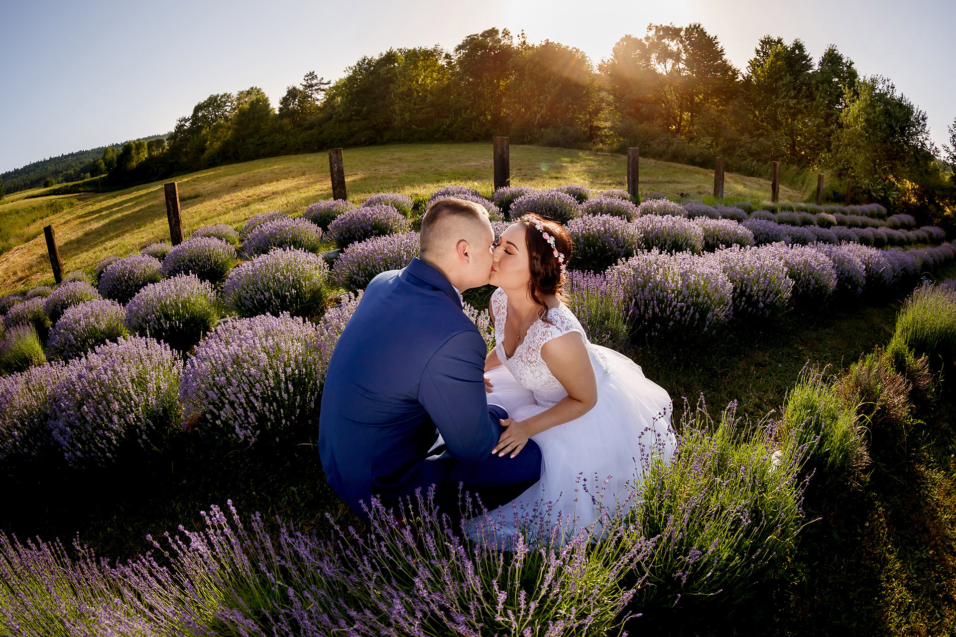 Izabela i Daniel  - sesja w lawendzie