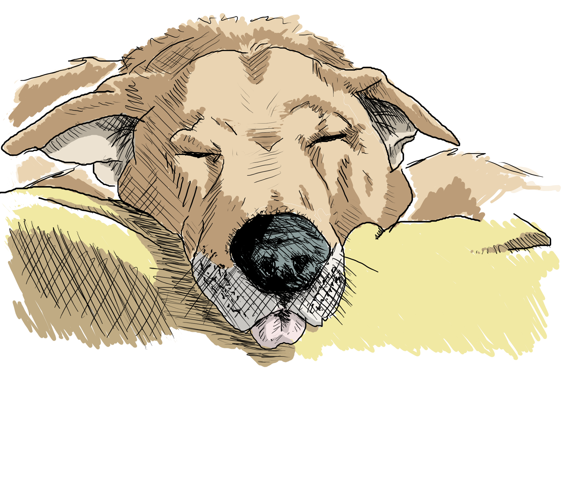 Digital illustration.