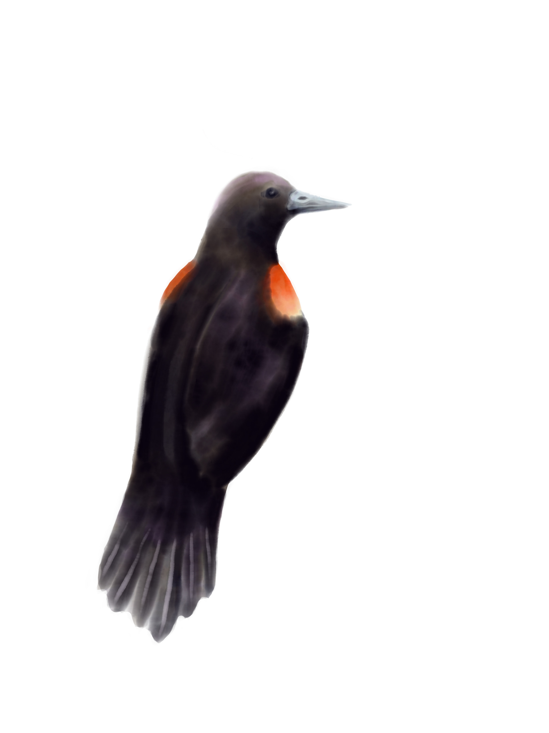 Digital watercolor, 2023.