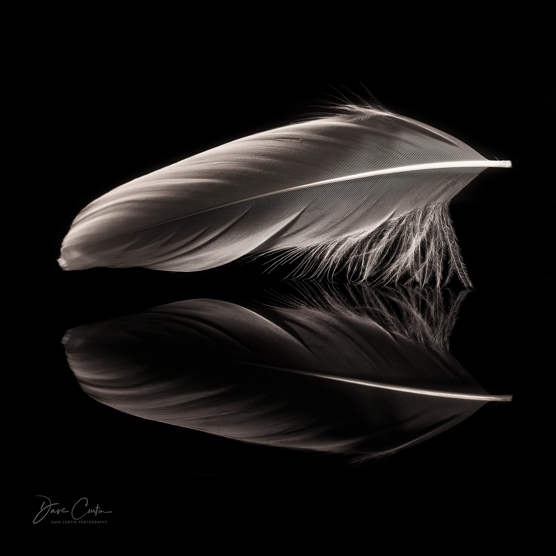 Light as a Feather