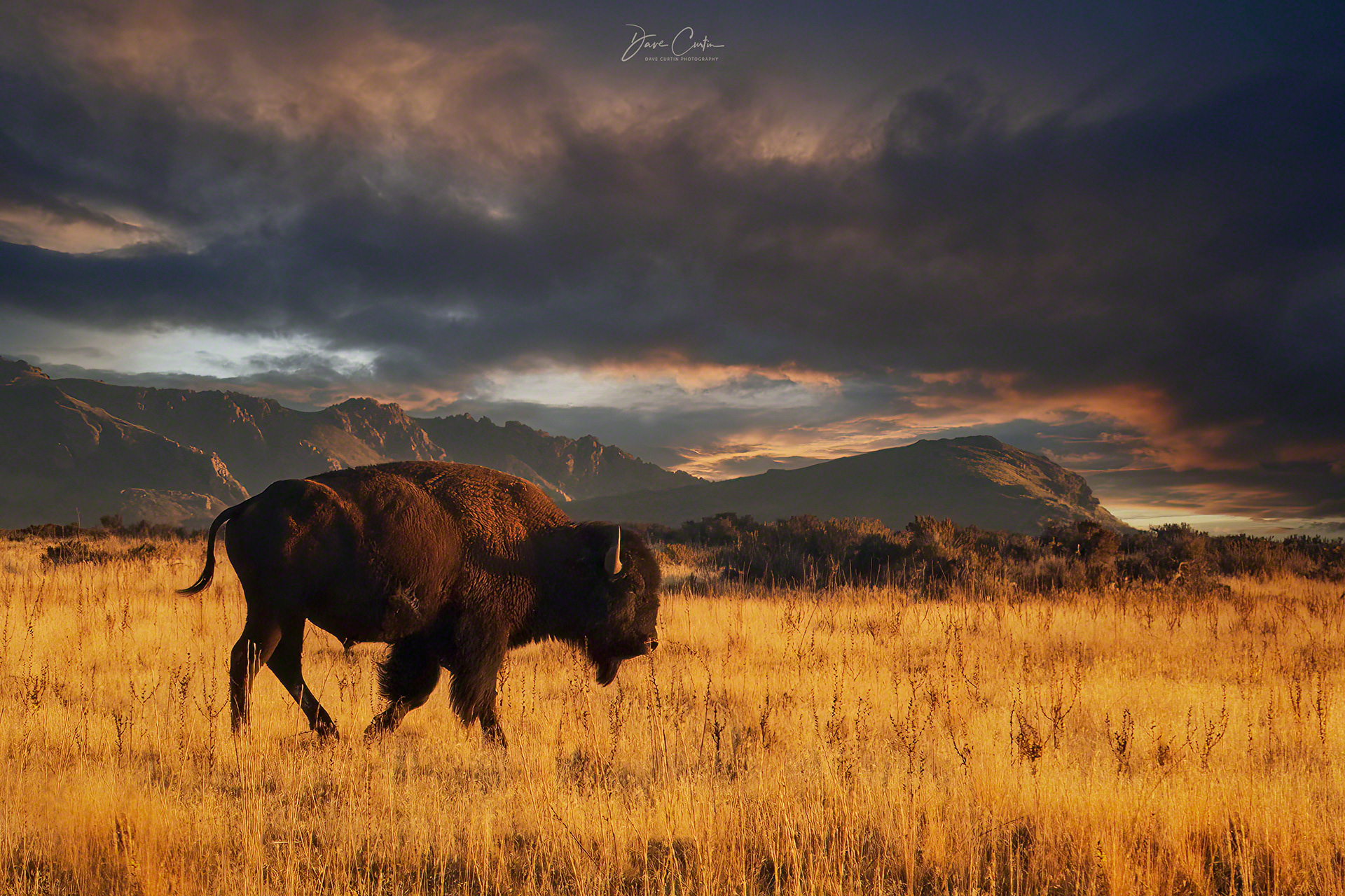 The American West
