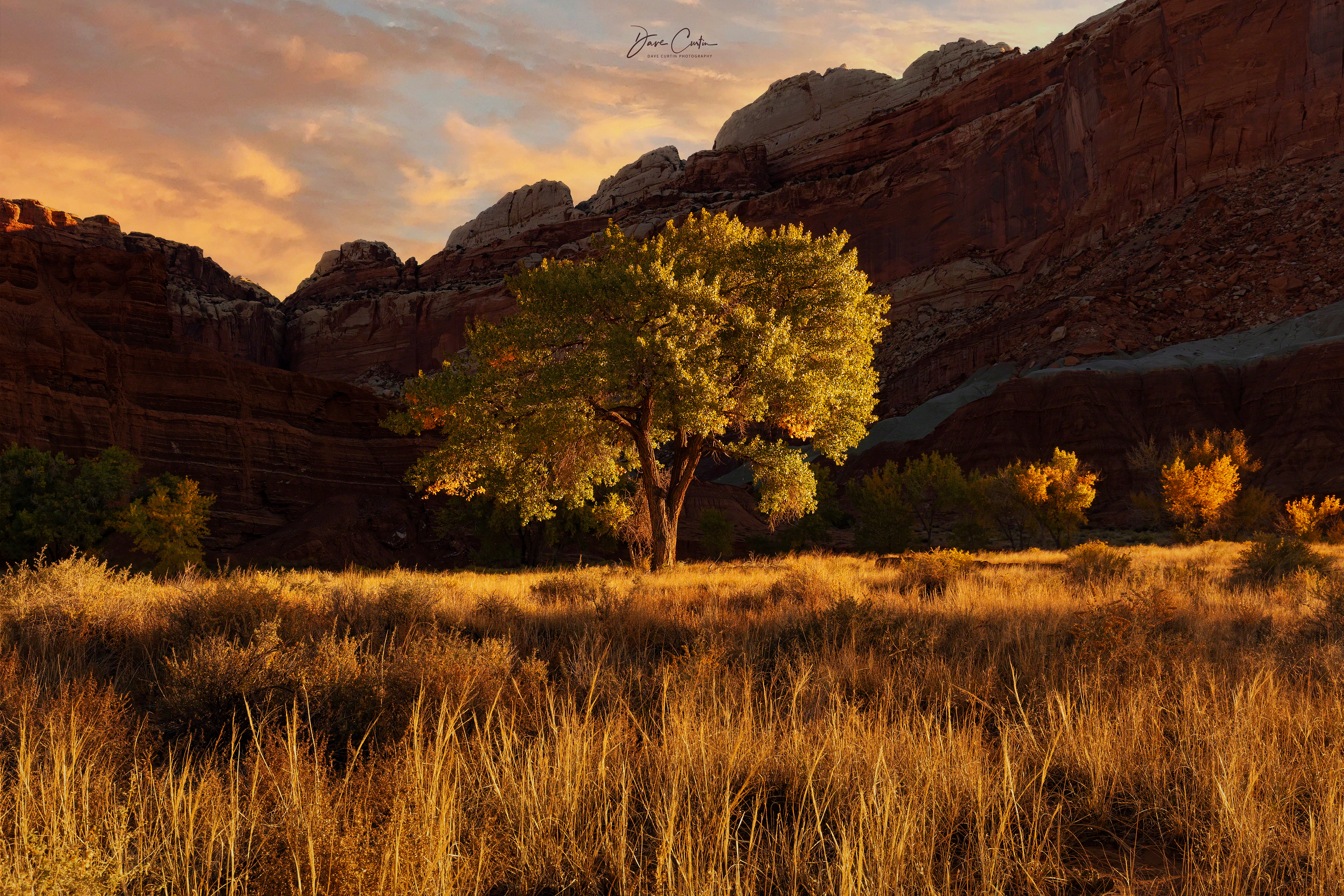Alone in the Desert
