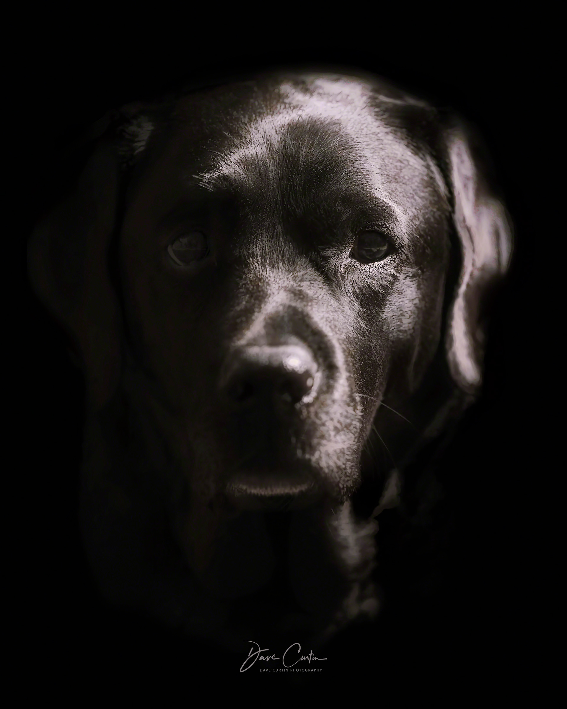 Hiding in the Shadows