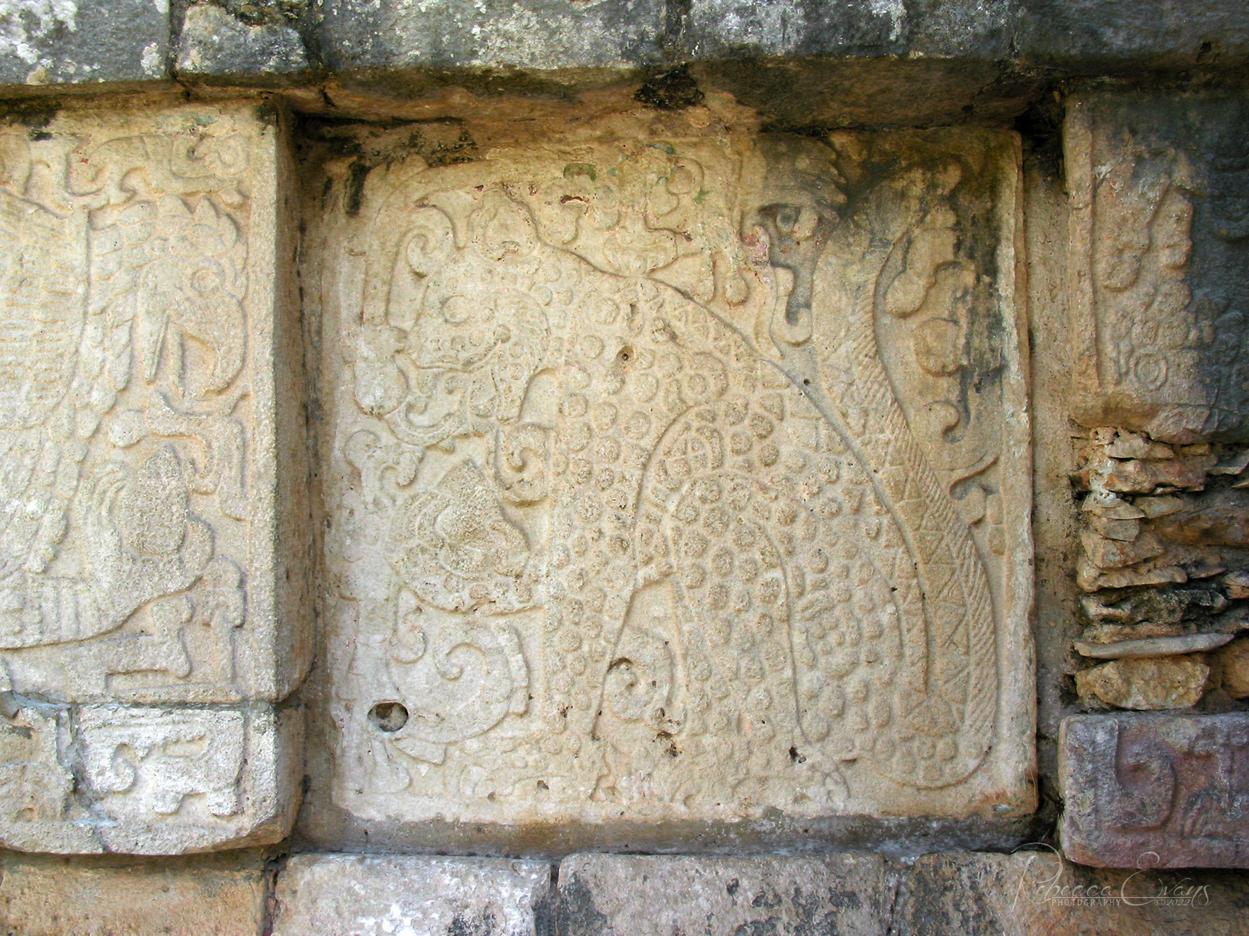 Chichen