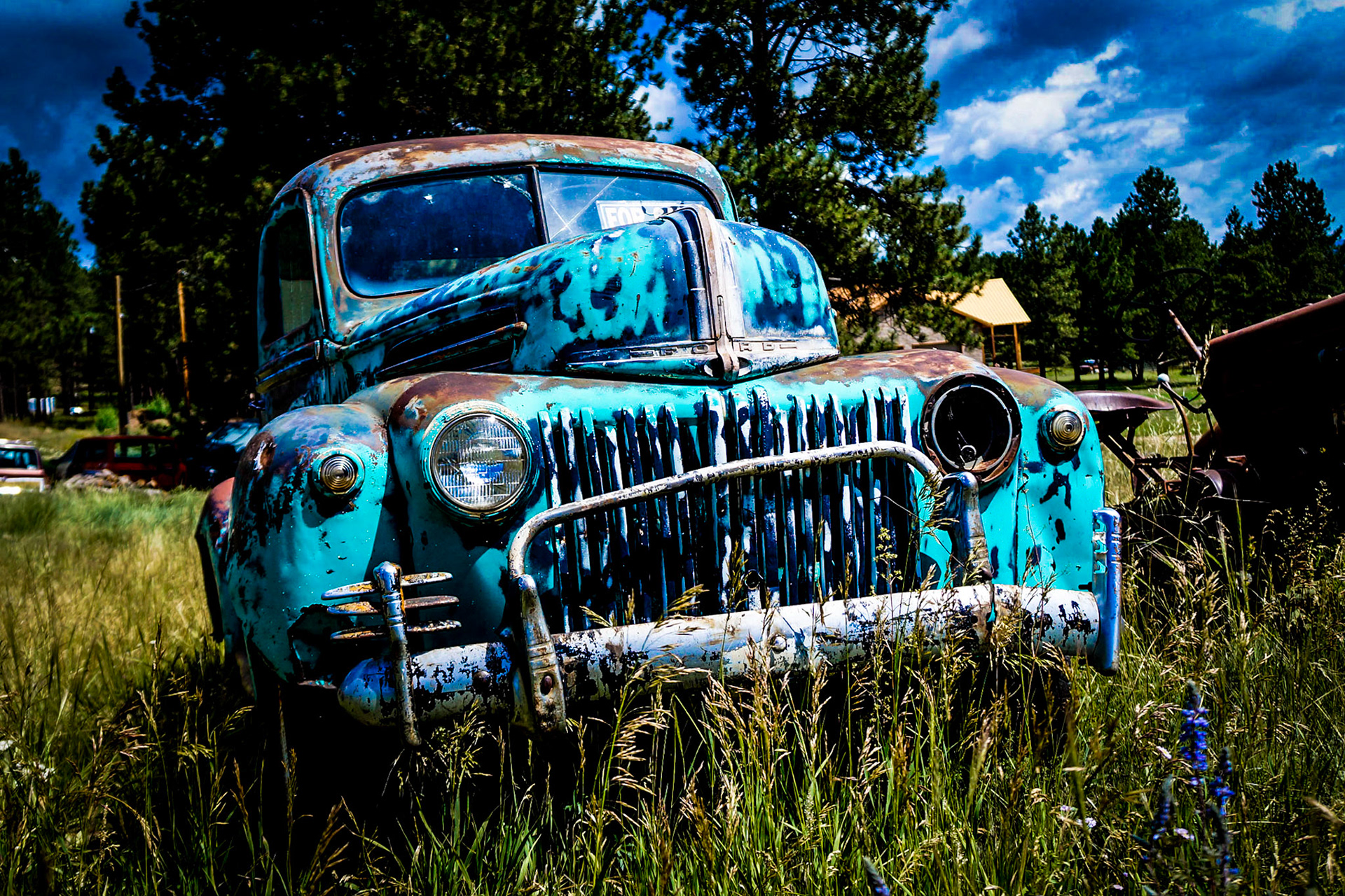 Found on the back roads in Colorado.