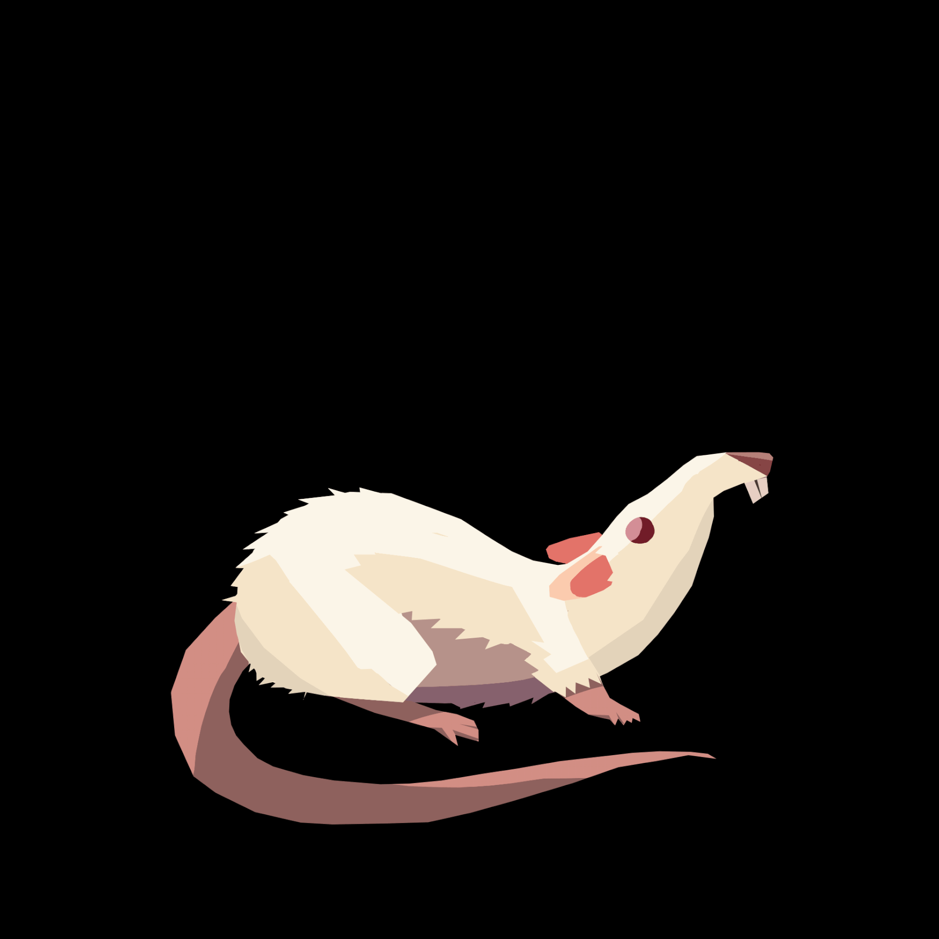 Rat Animation
