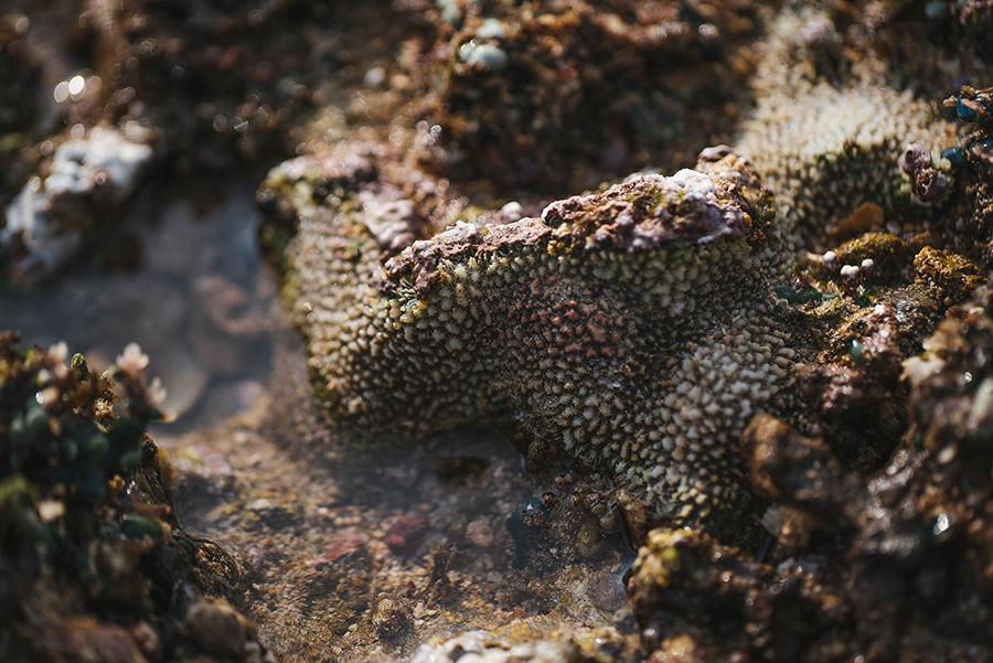 INDONESIA_BALI_12_10