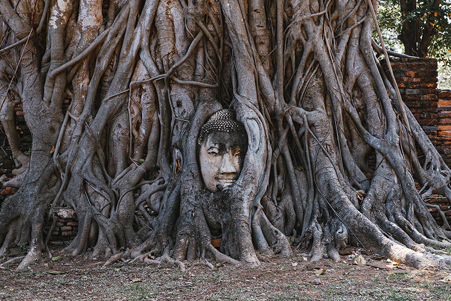 TAILANDIA_BANGKOK_08_10