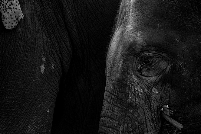Chiang Mai • Tailândia • 02