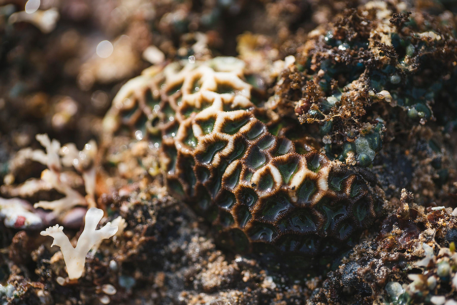 INDONESIA_BALI_11_10