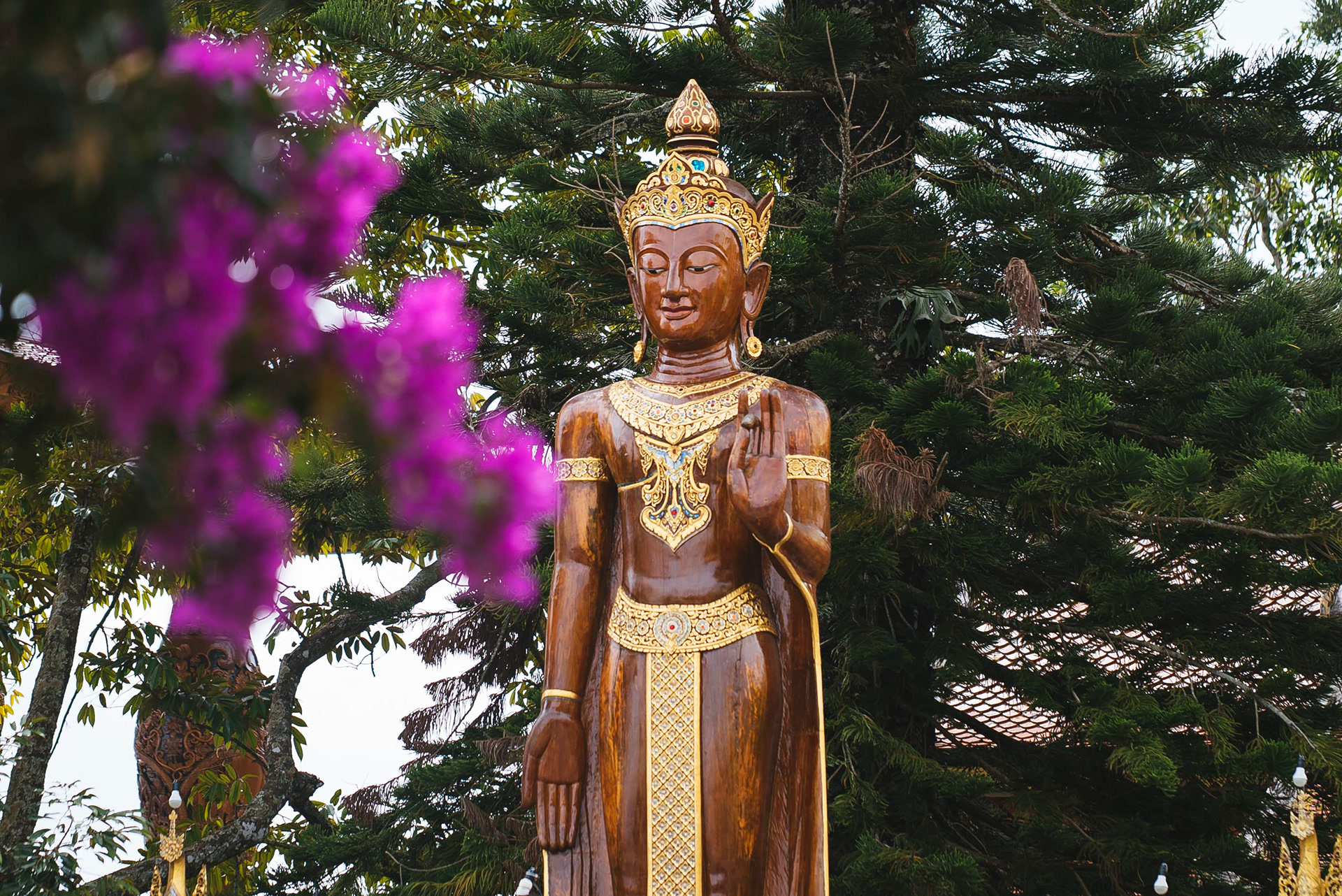 TAILANDIA_CHIANG MAI_07_10