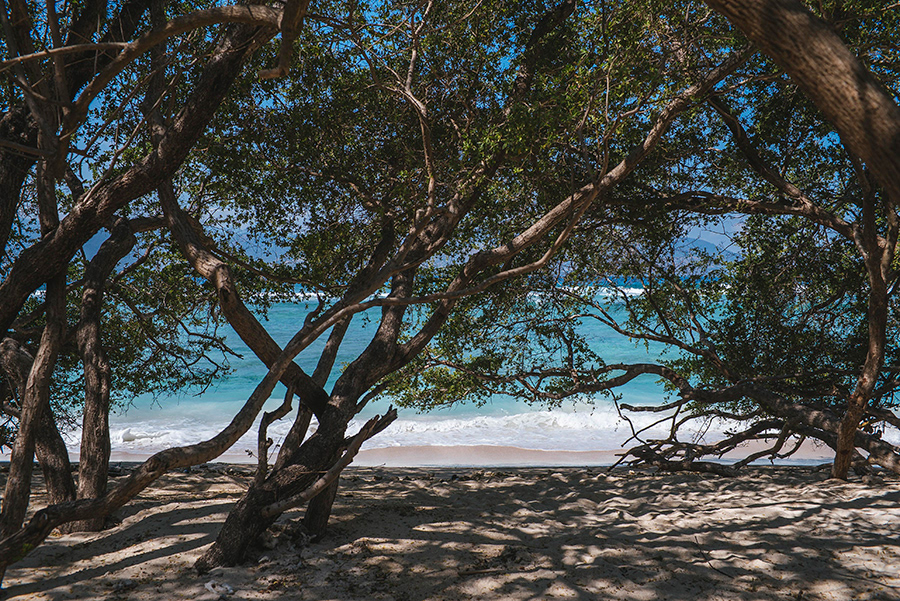 INDONESIA_GILI T_01_10