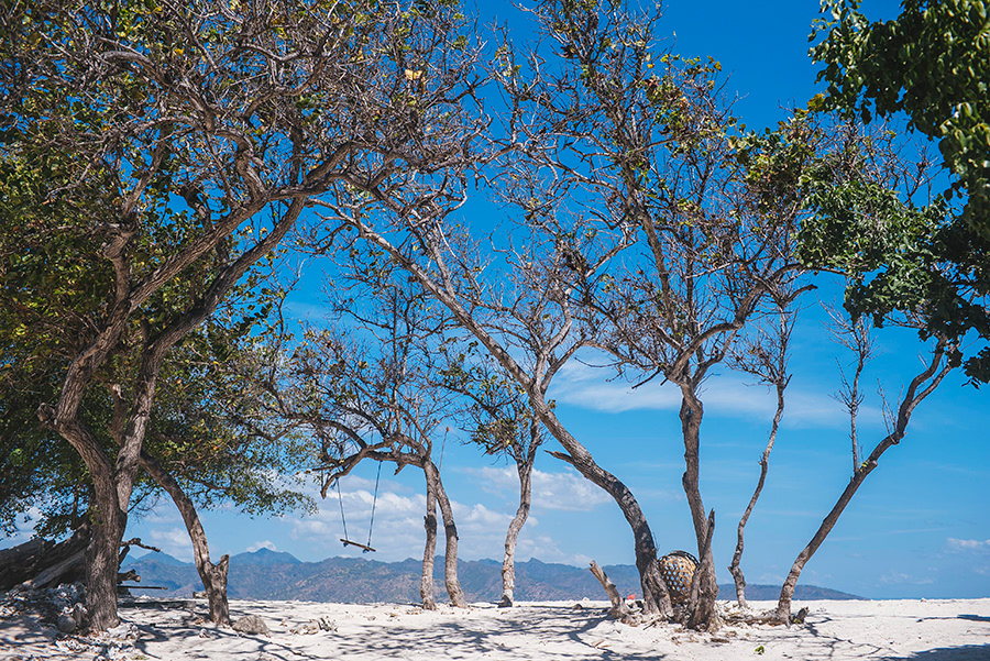 INDONESIA_GILI T_03_10