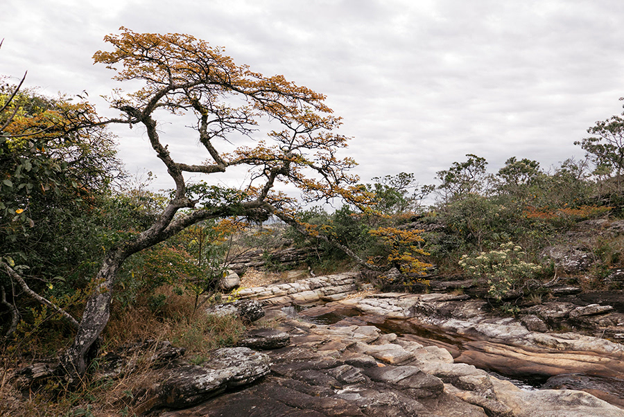 BRASIL_MINAS GERAIS_01_10