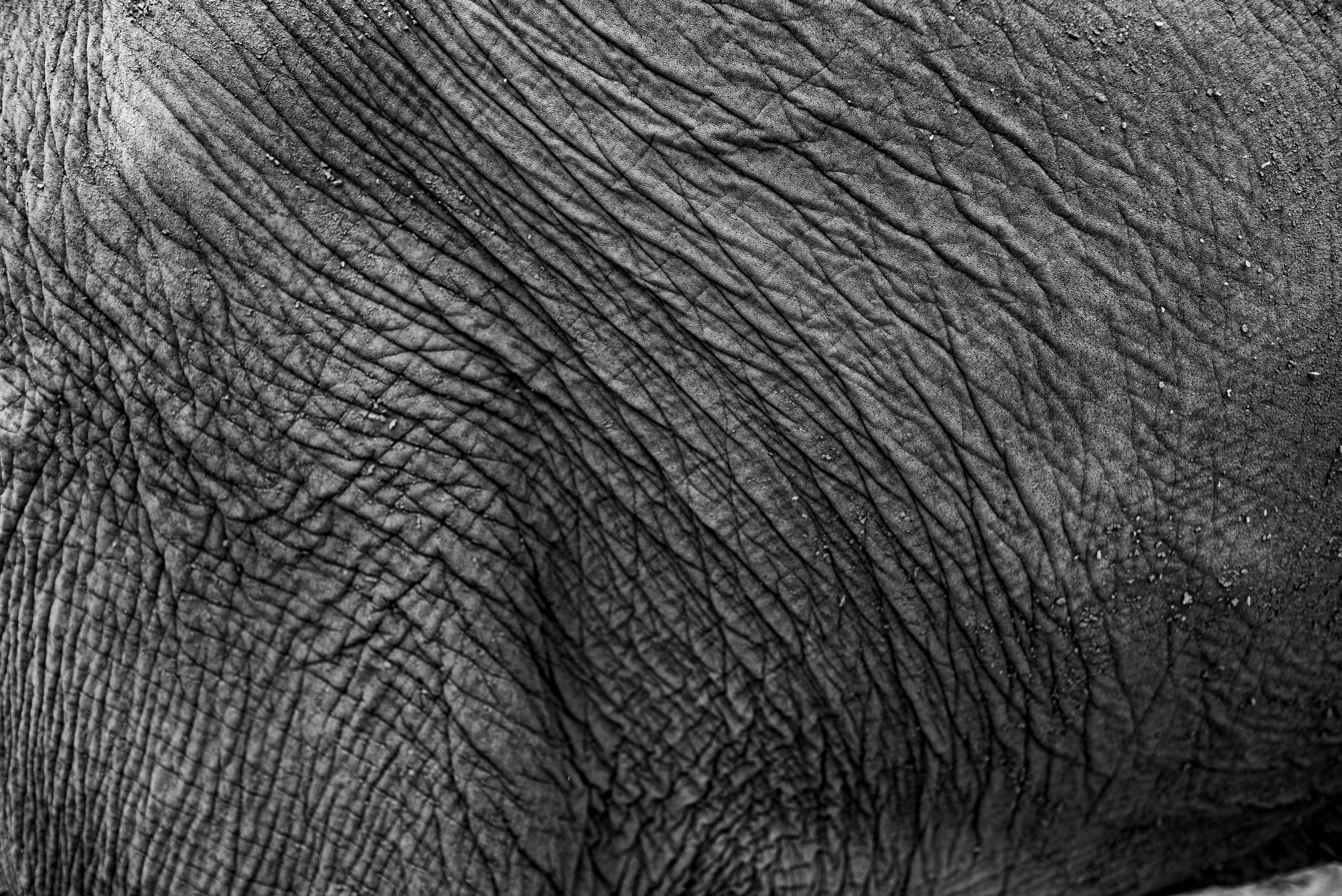 TAILANDIA_CHIANG MAI_02_10