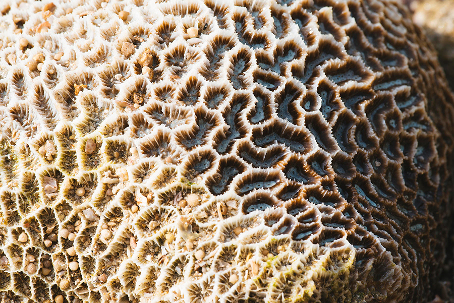 INDONESIA_BALI_10_10