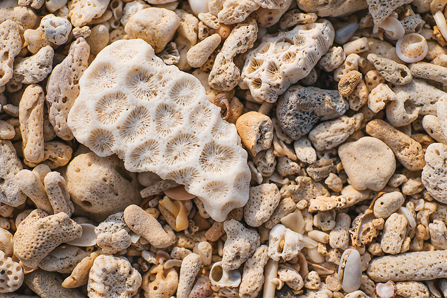 TAILANDIA_KOH LANTA_07_10