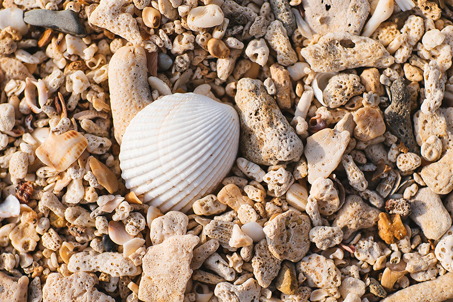 TAILANDIA_KOH LANTA_04_10