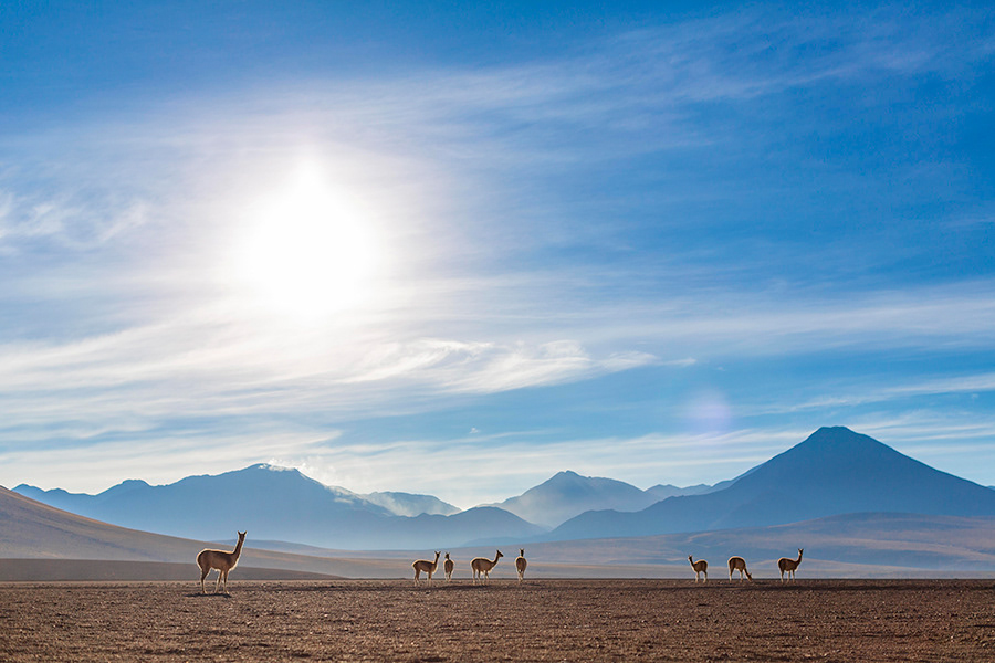 CHILE_ATACAMA_04_10