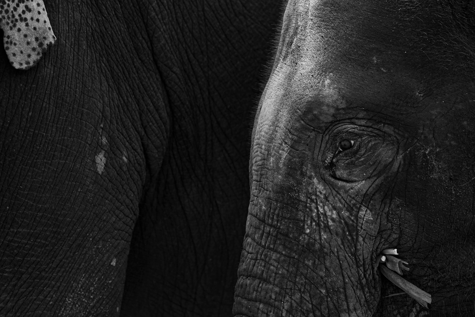 TAILANDIA_CHIANG MAI_03_10