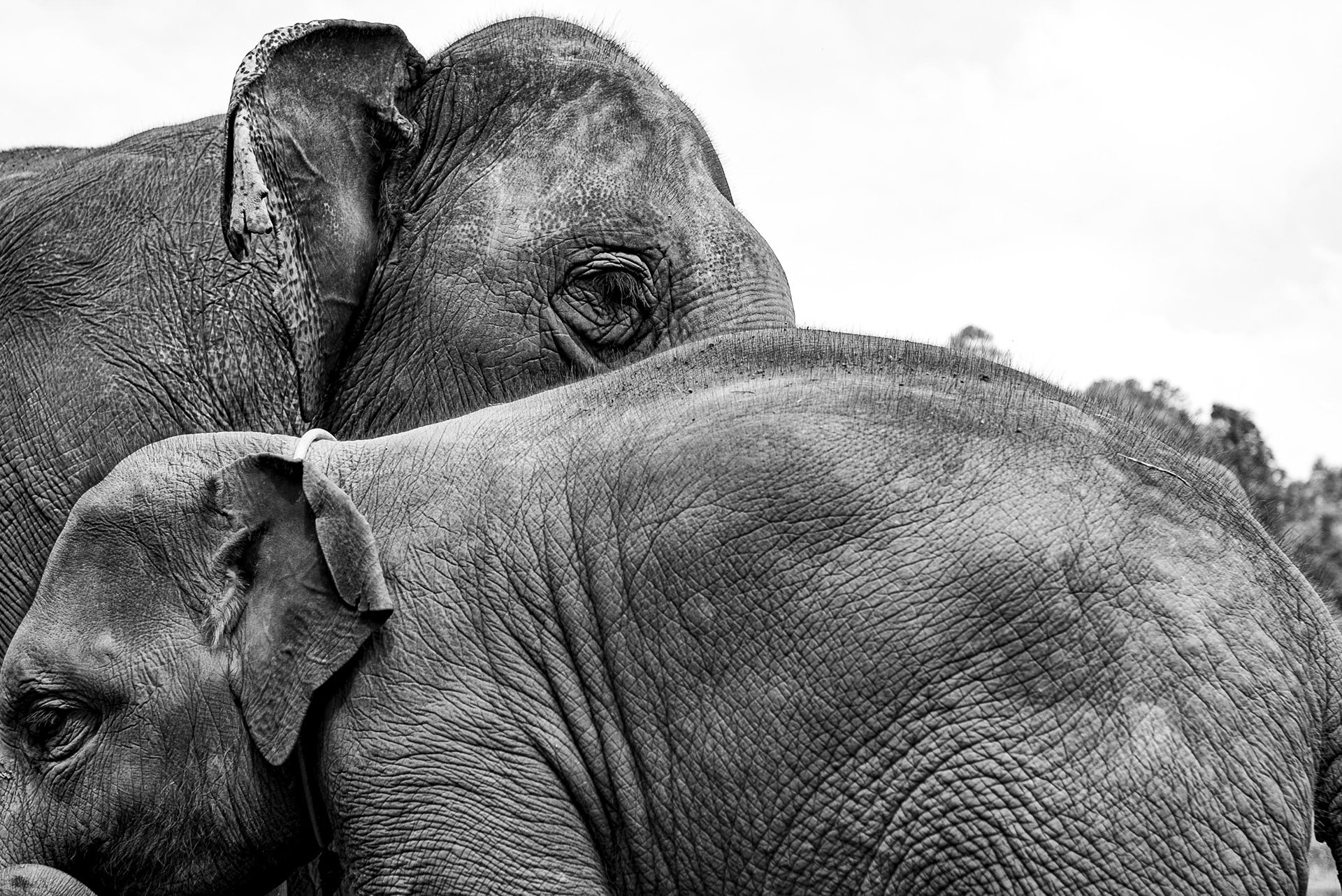 TAILANDIA_CHIANG MAI_01_10