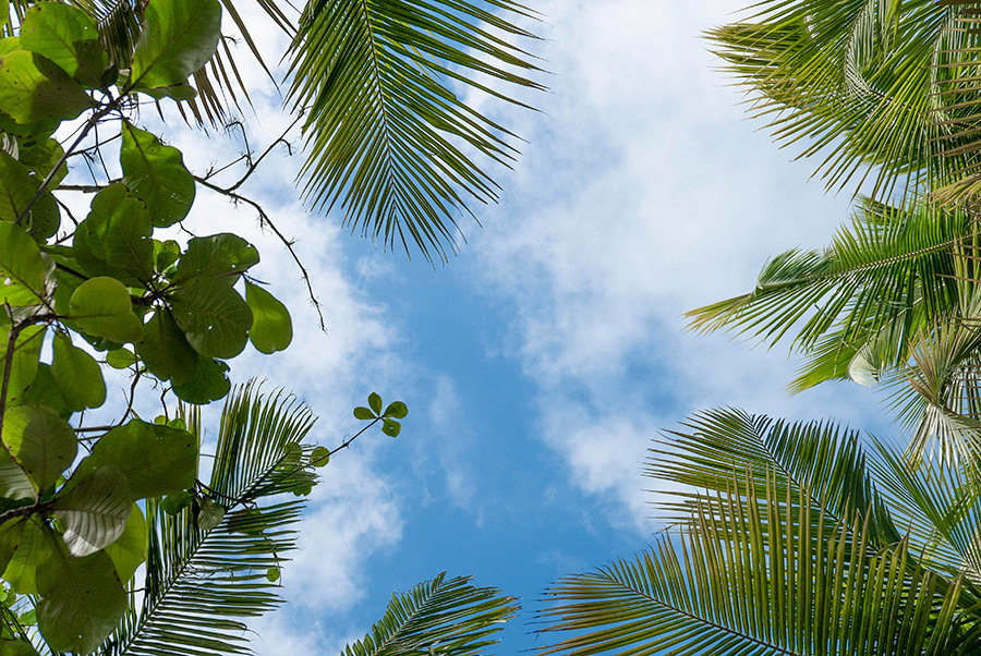 BRASIL_JOAO PESSOA_03_10