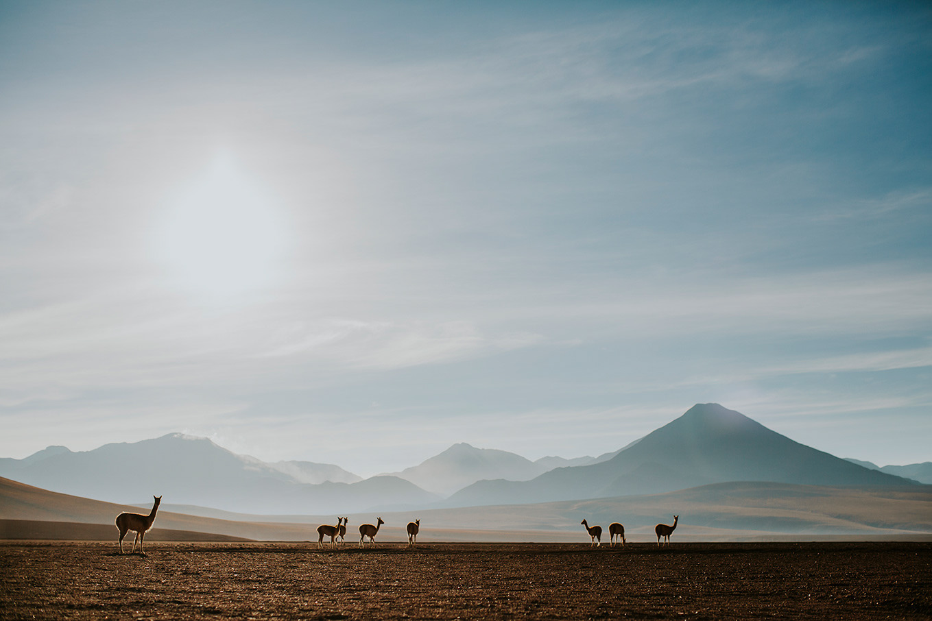 Atacama • Chile • 04