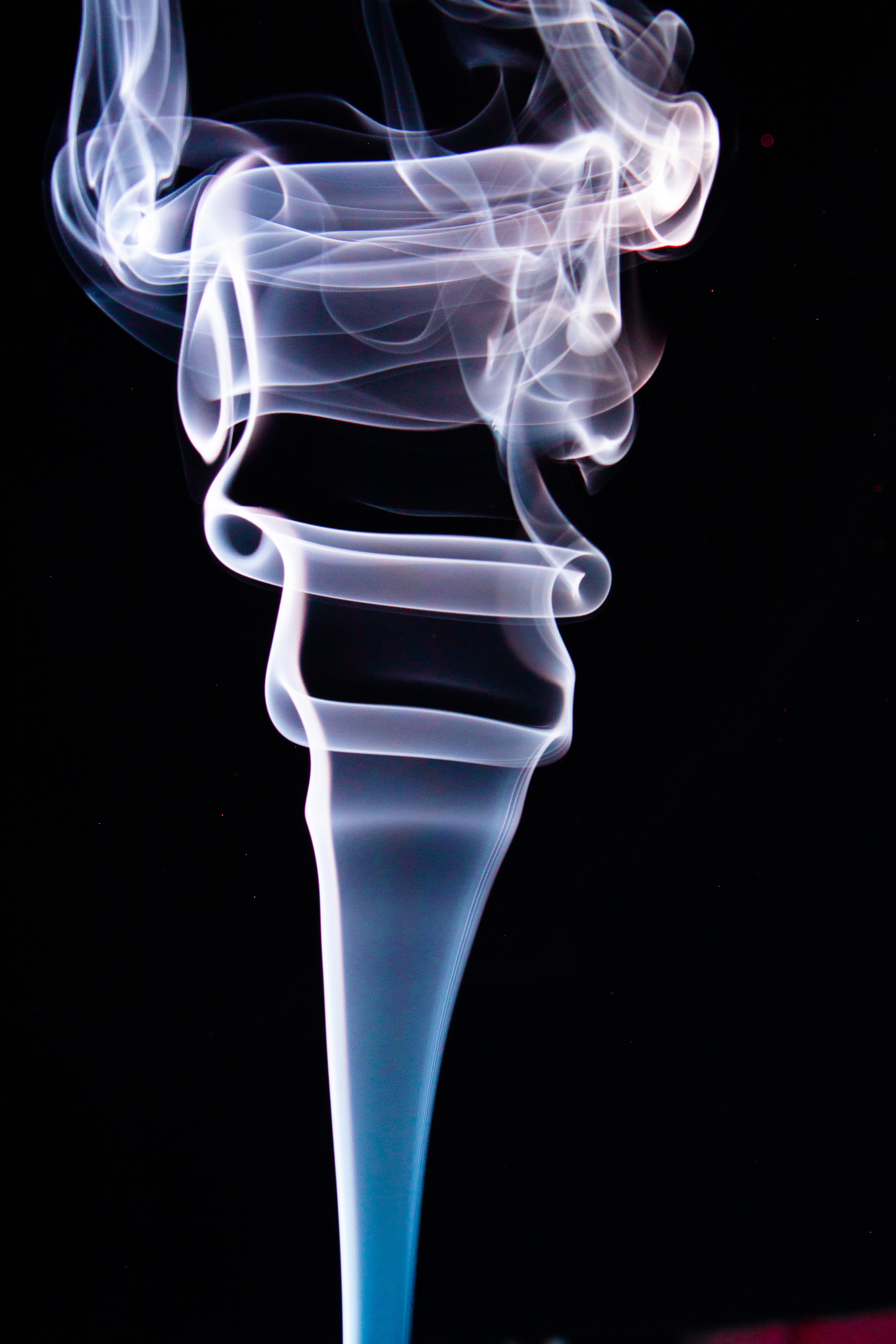 Rook