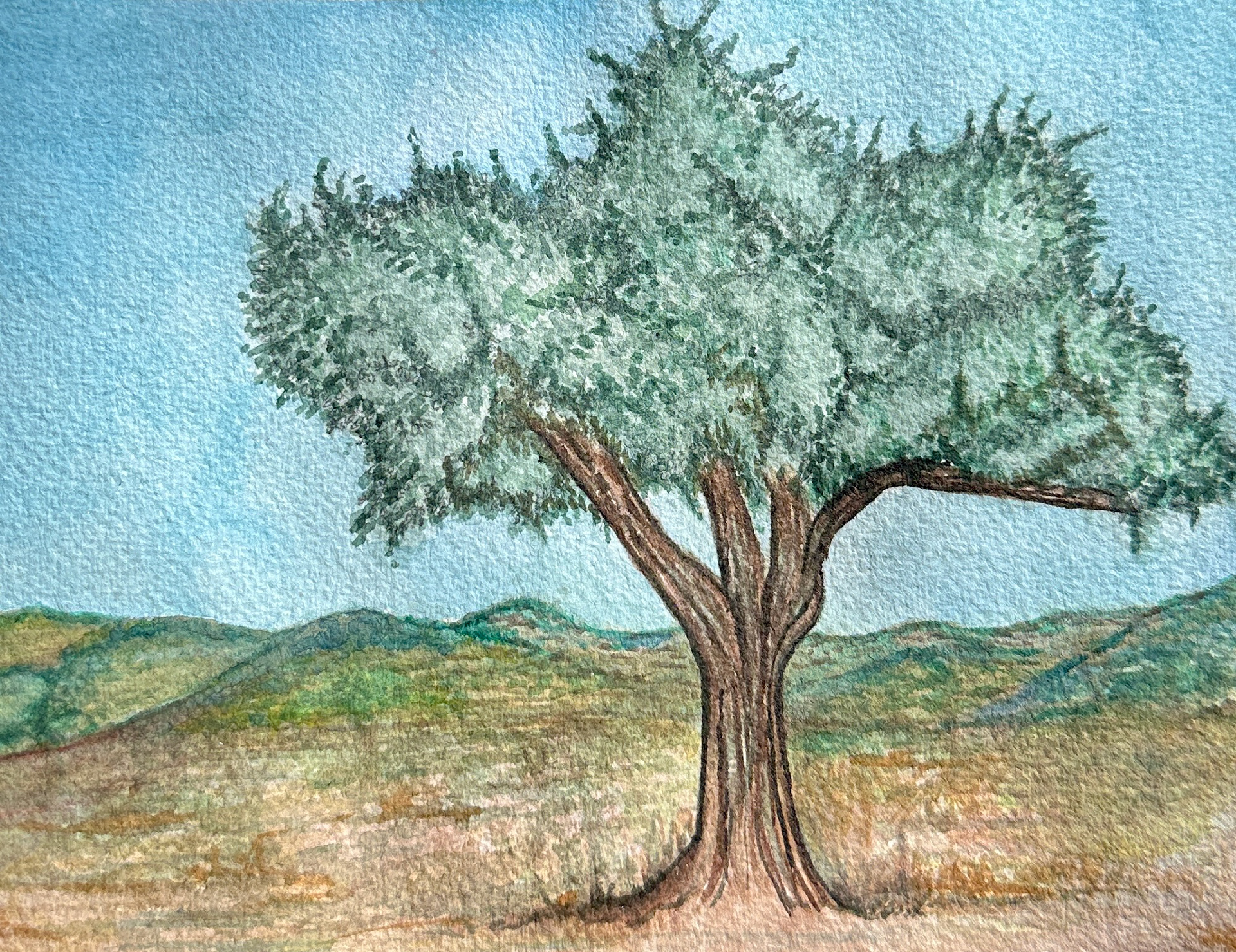 Watercolor, 2024