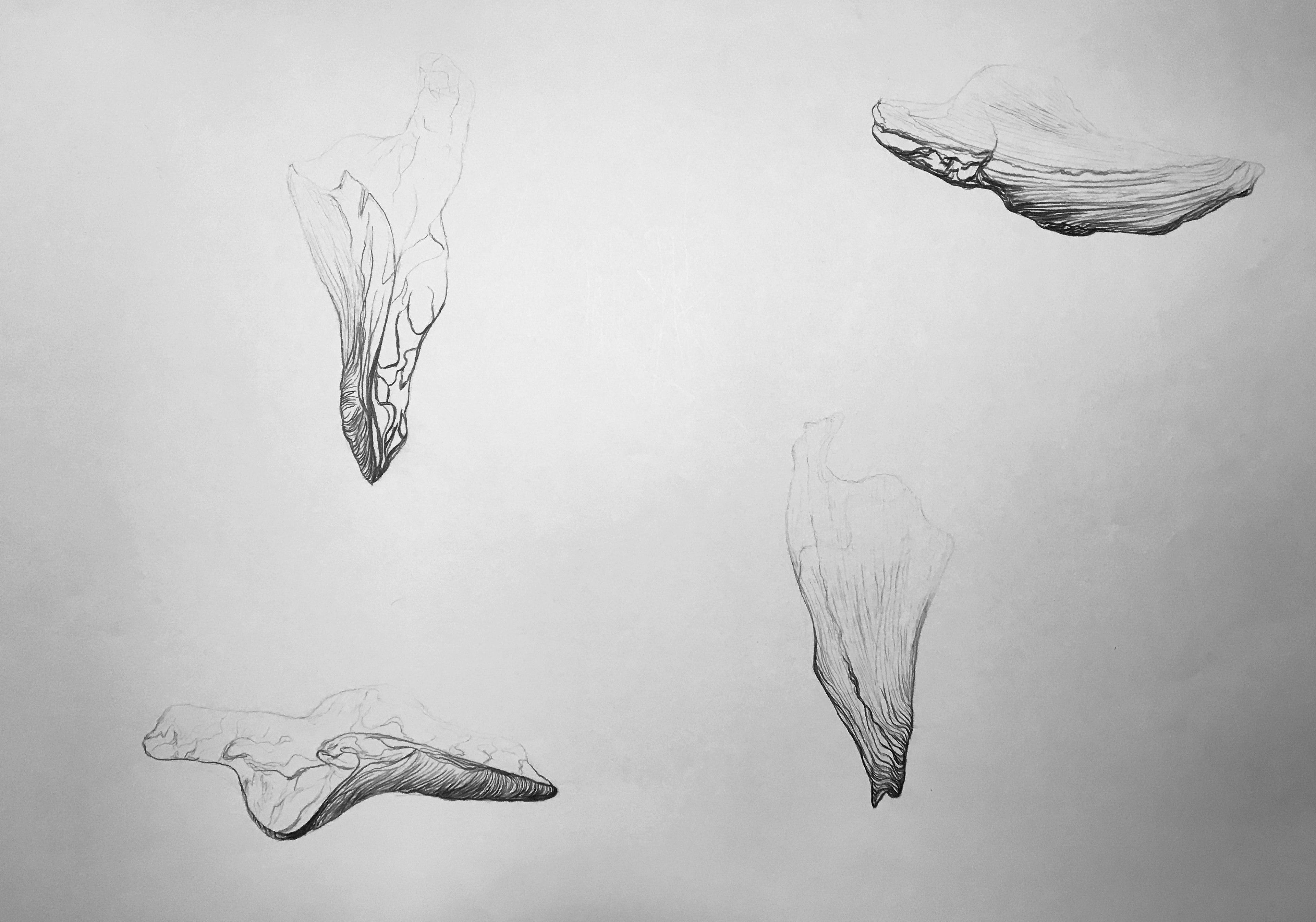 Pencil, 2019