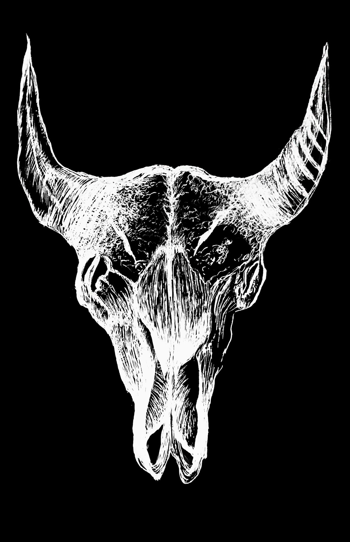 Scratchboard, 2018