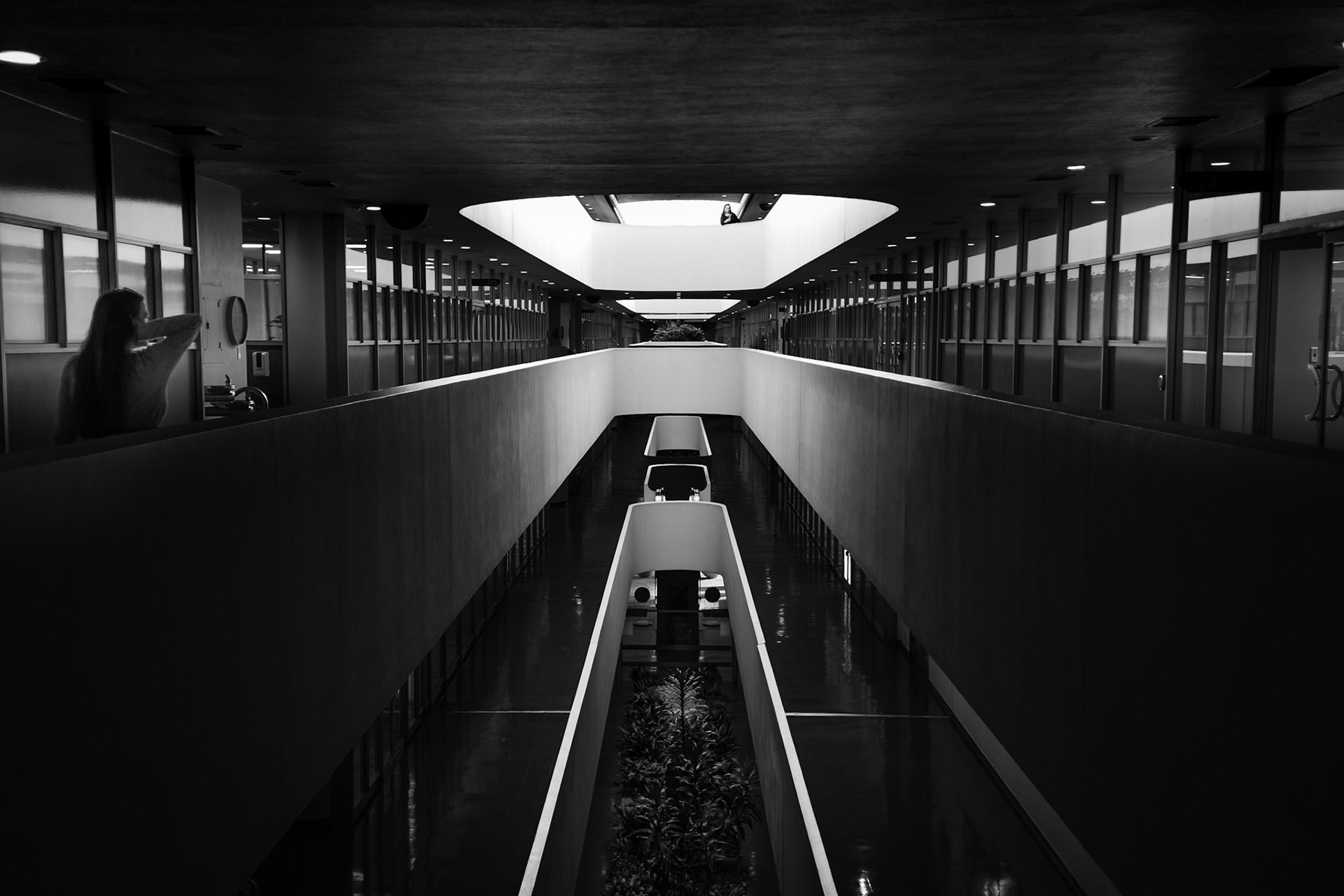 Marin County Civic Center (Frank Lloyd Wright, Architect)